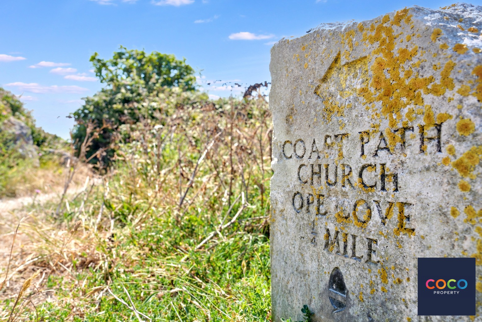 Media image 04