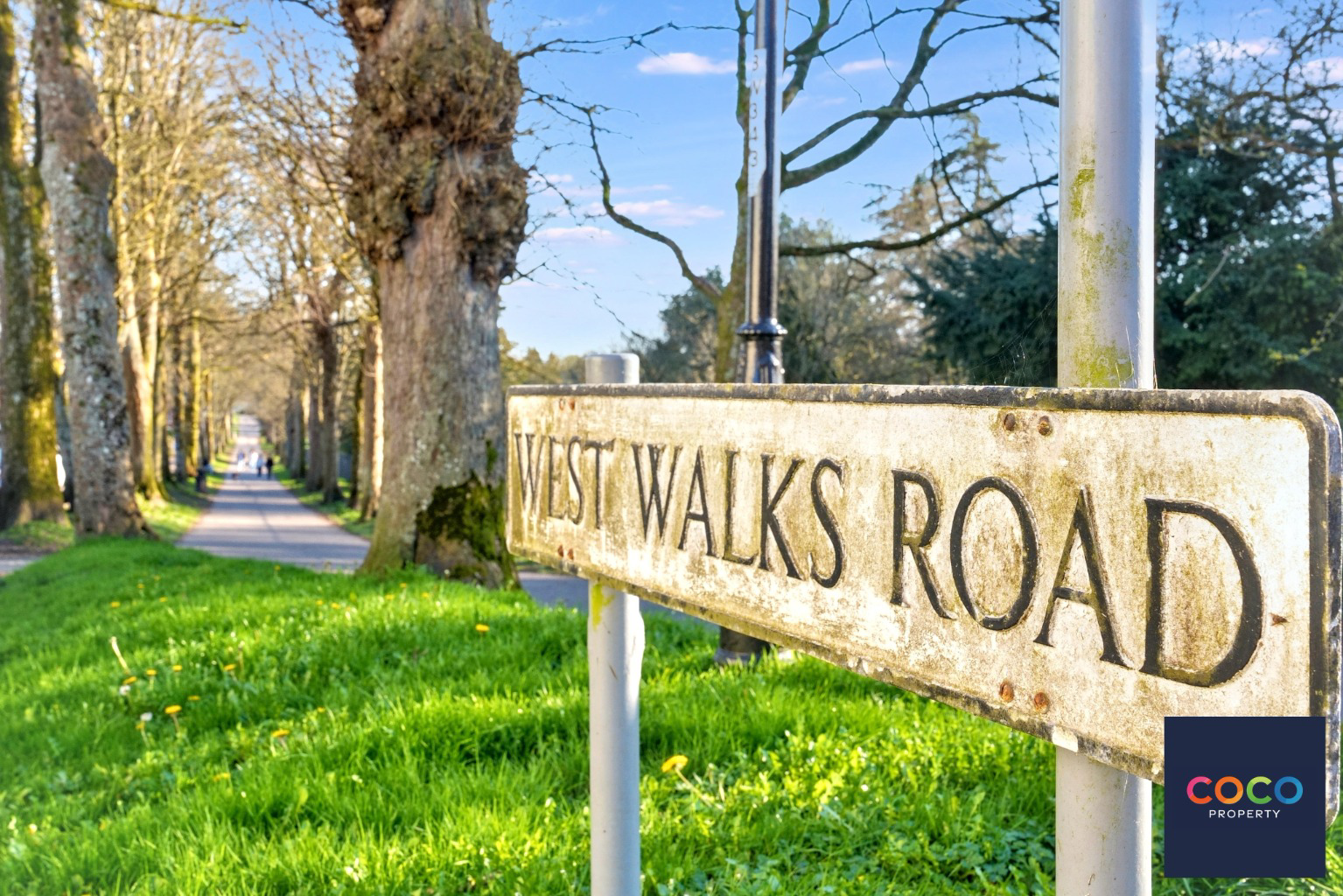 West Walks, Dorchester, Dorset, DT1, photo 13