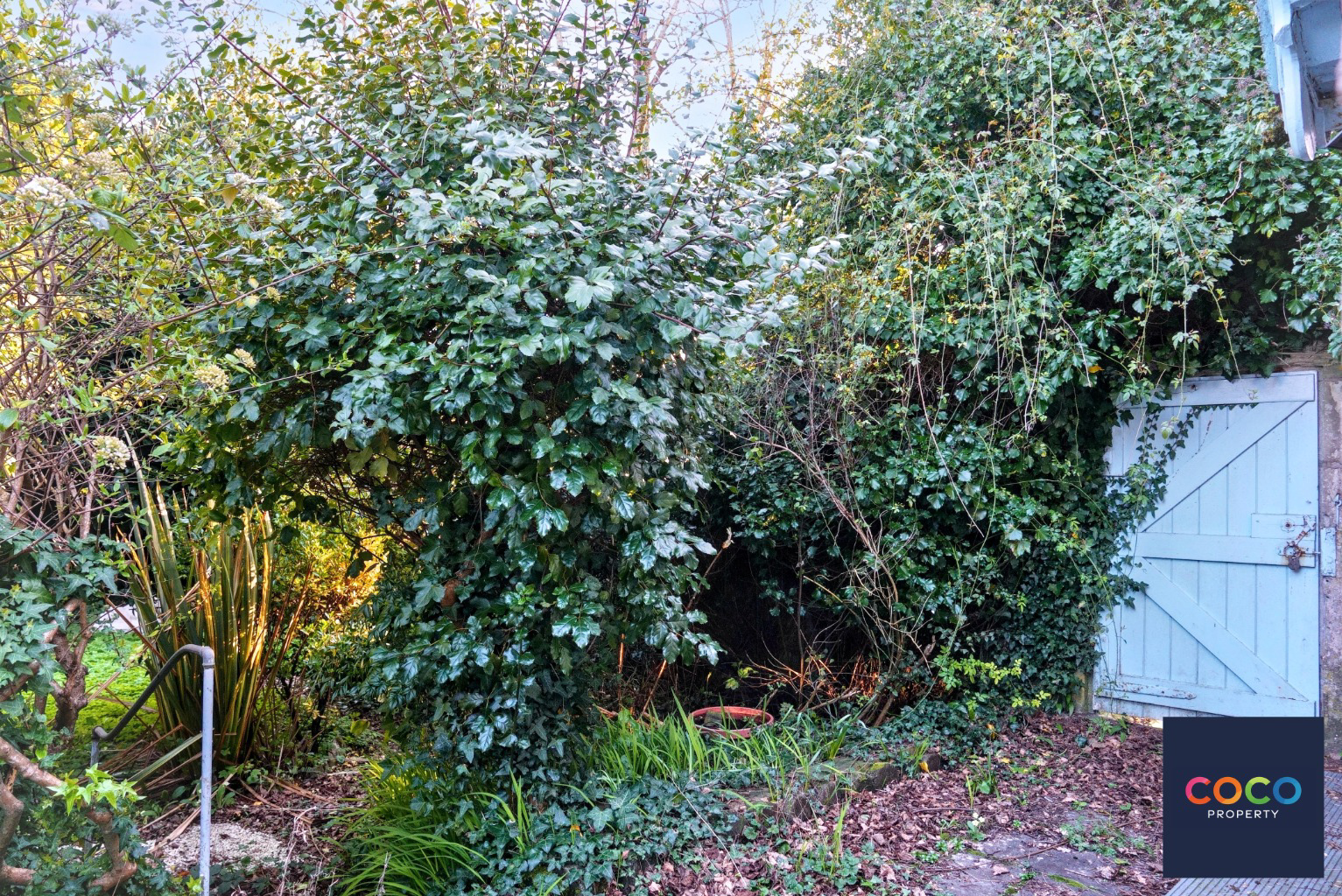 West Walks, Dorchester, Dorset, DT1, photo 7