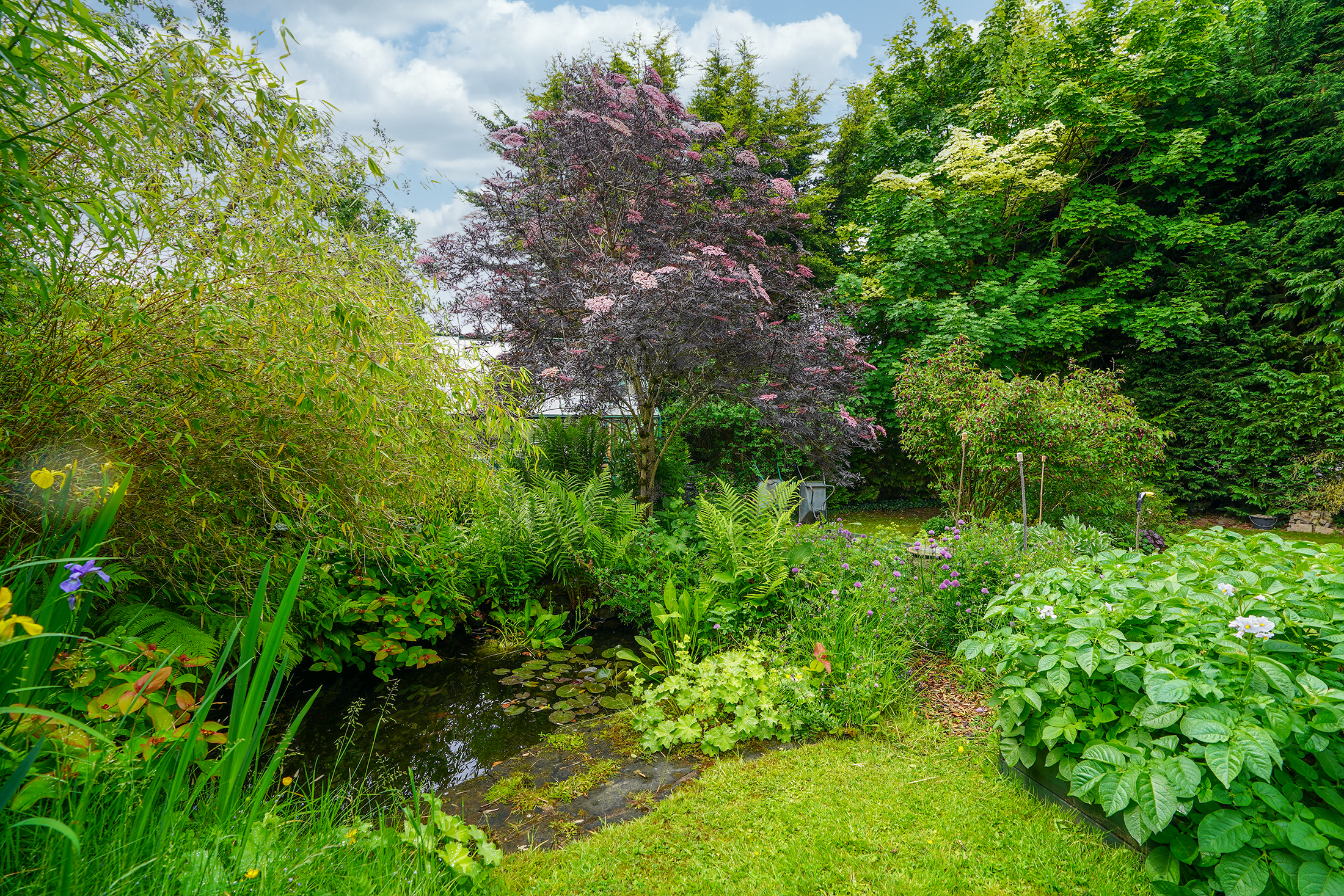 Birkin Lane, Wingerworth, S42, photo 31