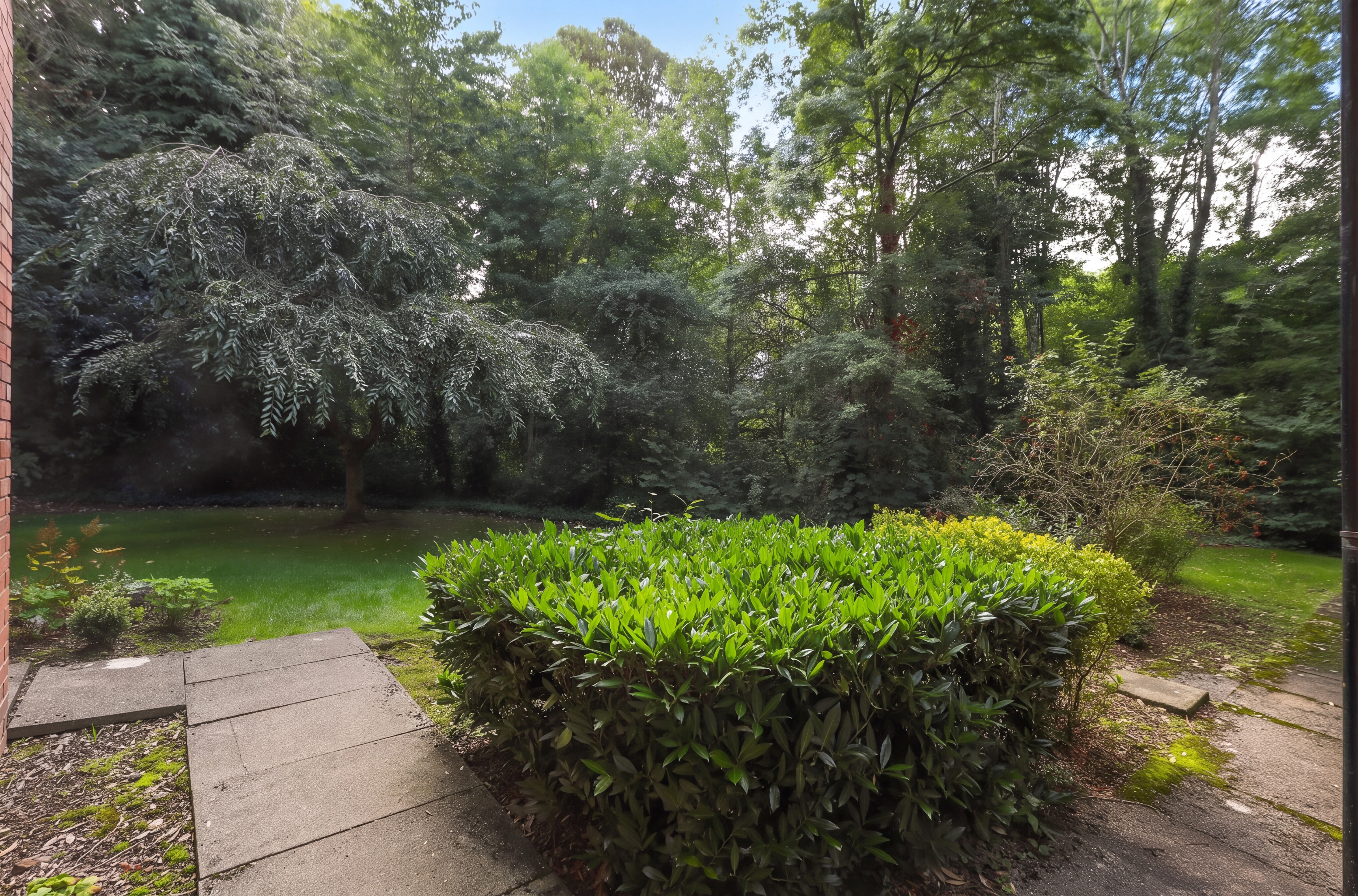 Queen Victoria Road, Sheffield, S17, photo 16