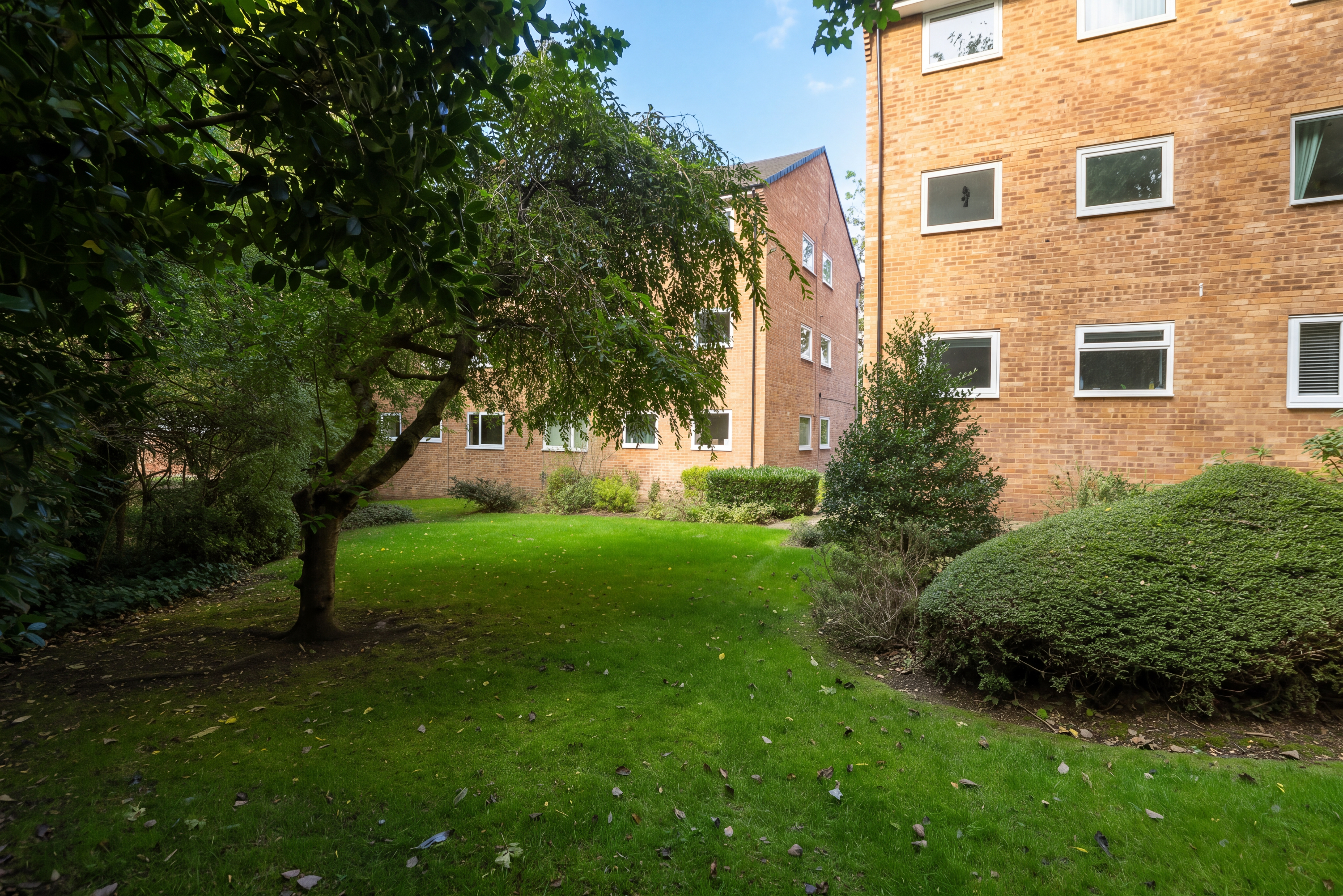 Queen Victoria Road, Sheffield, S17, photo 4