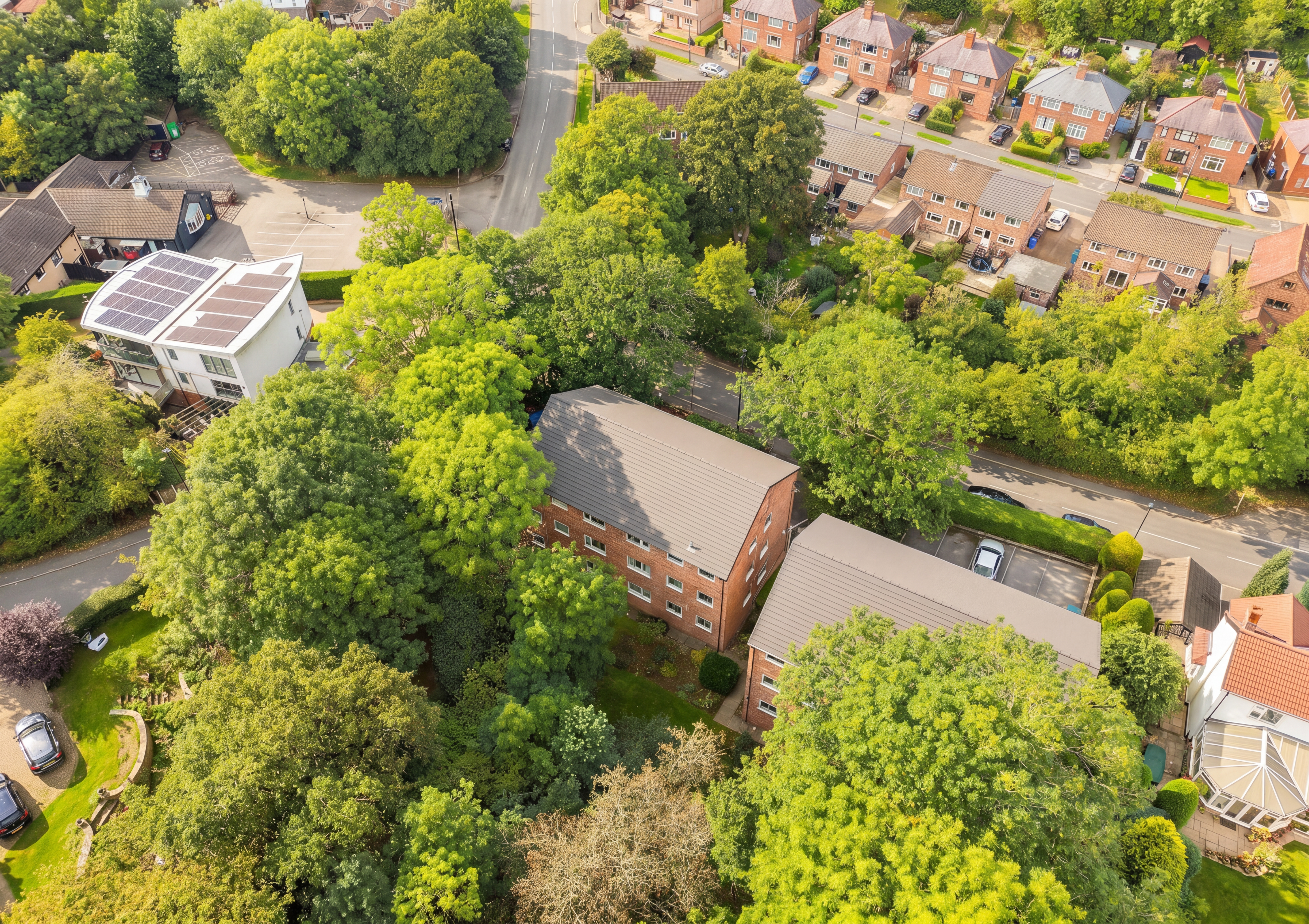 Queen Victoria Road, Sheffield, S17, photo 19
