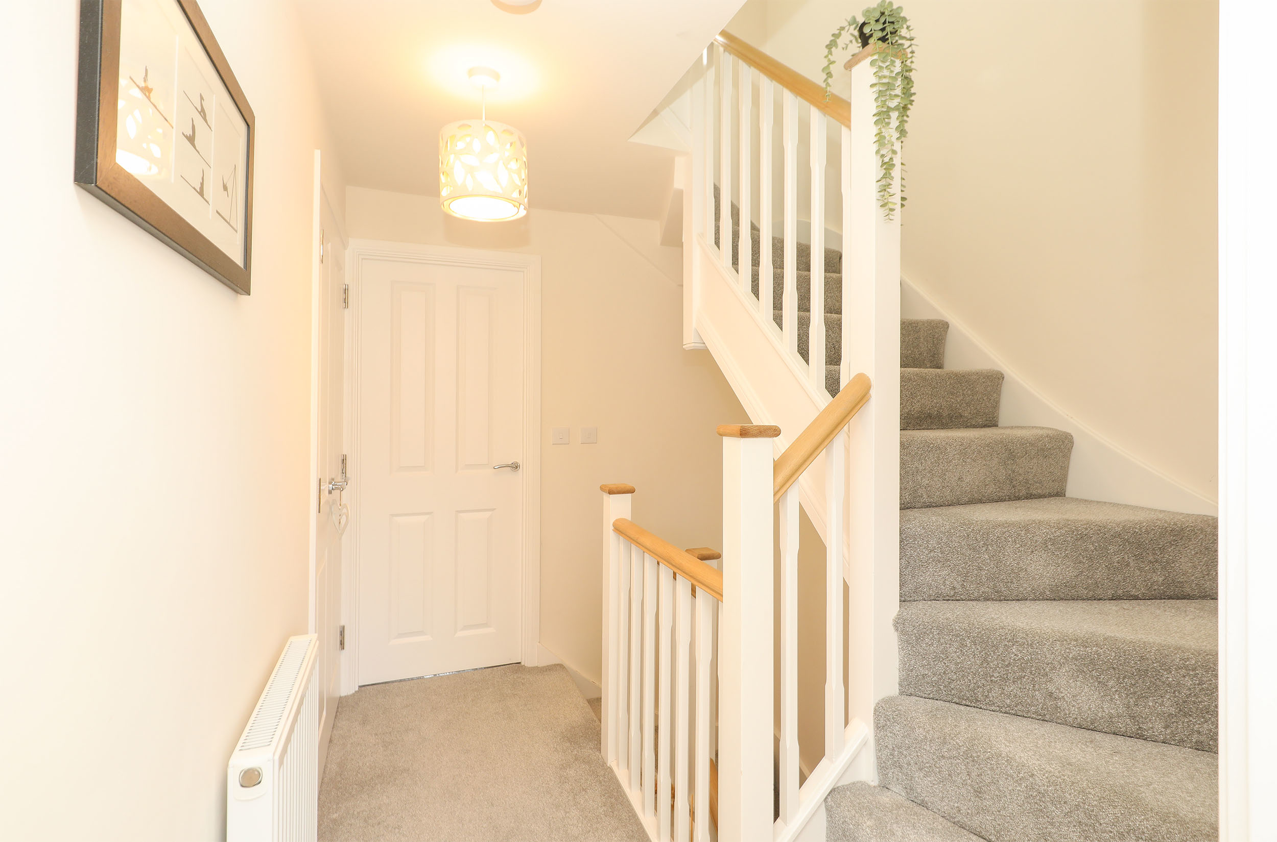 Aspire Way, Staveley, S43, photo 11