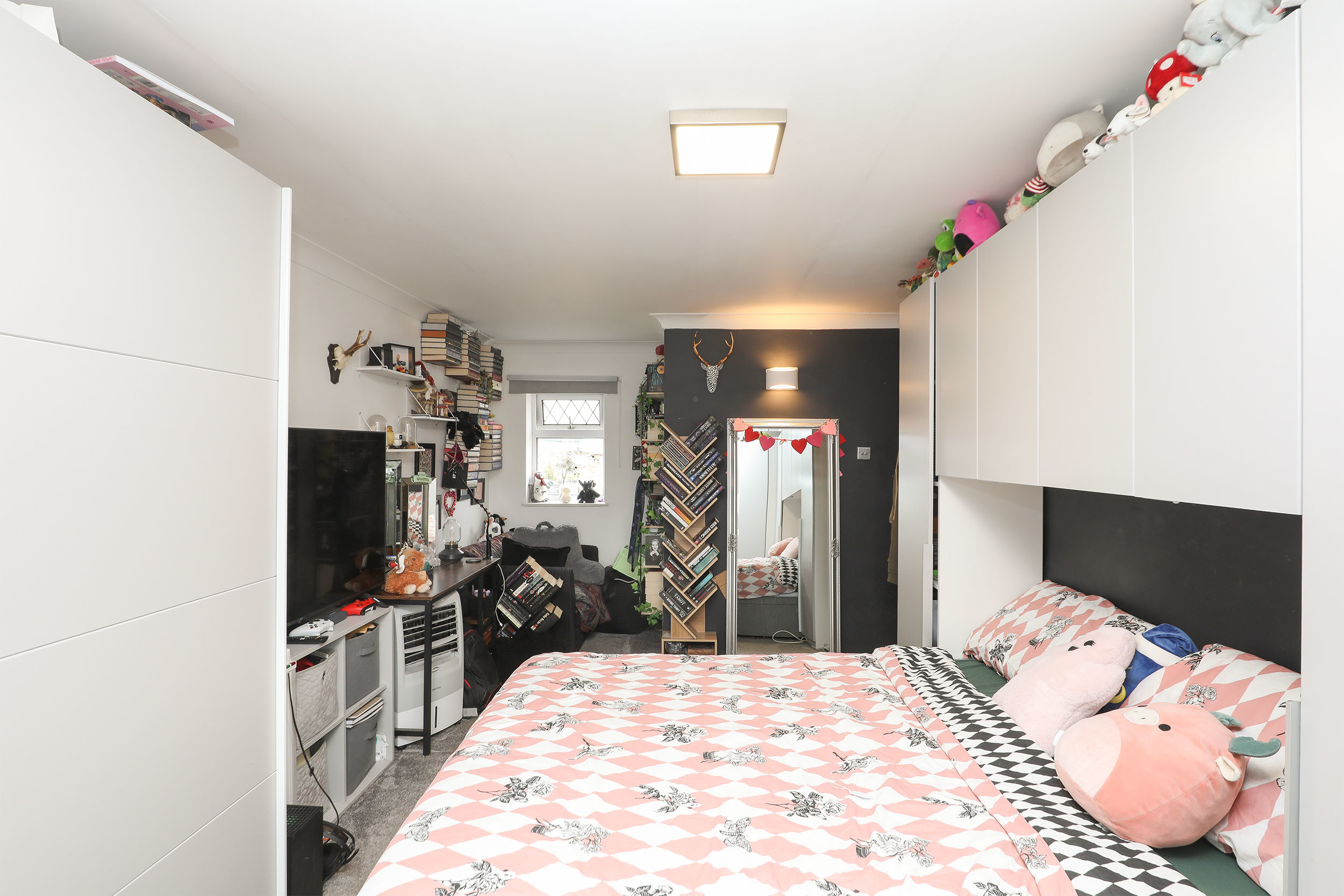 Elm Tree Avenue, Shirebrook, NG20, photo 7