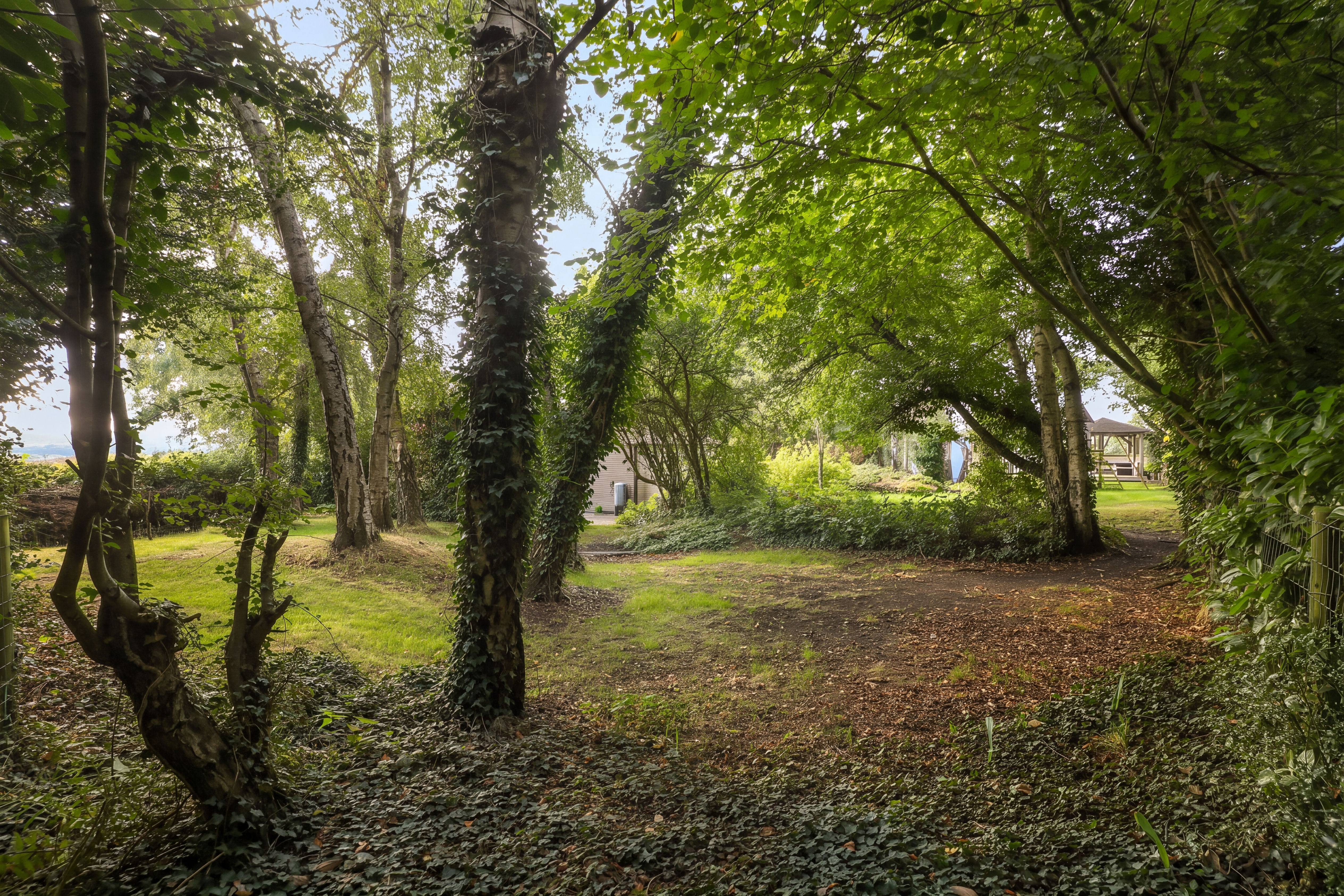 Sunnybank Cottage, Main Road, Marsh Lane, S21, photo 45