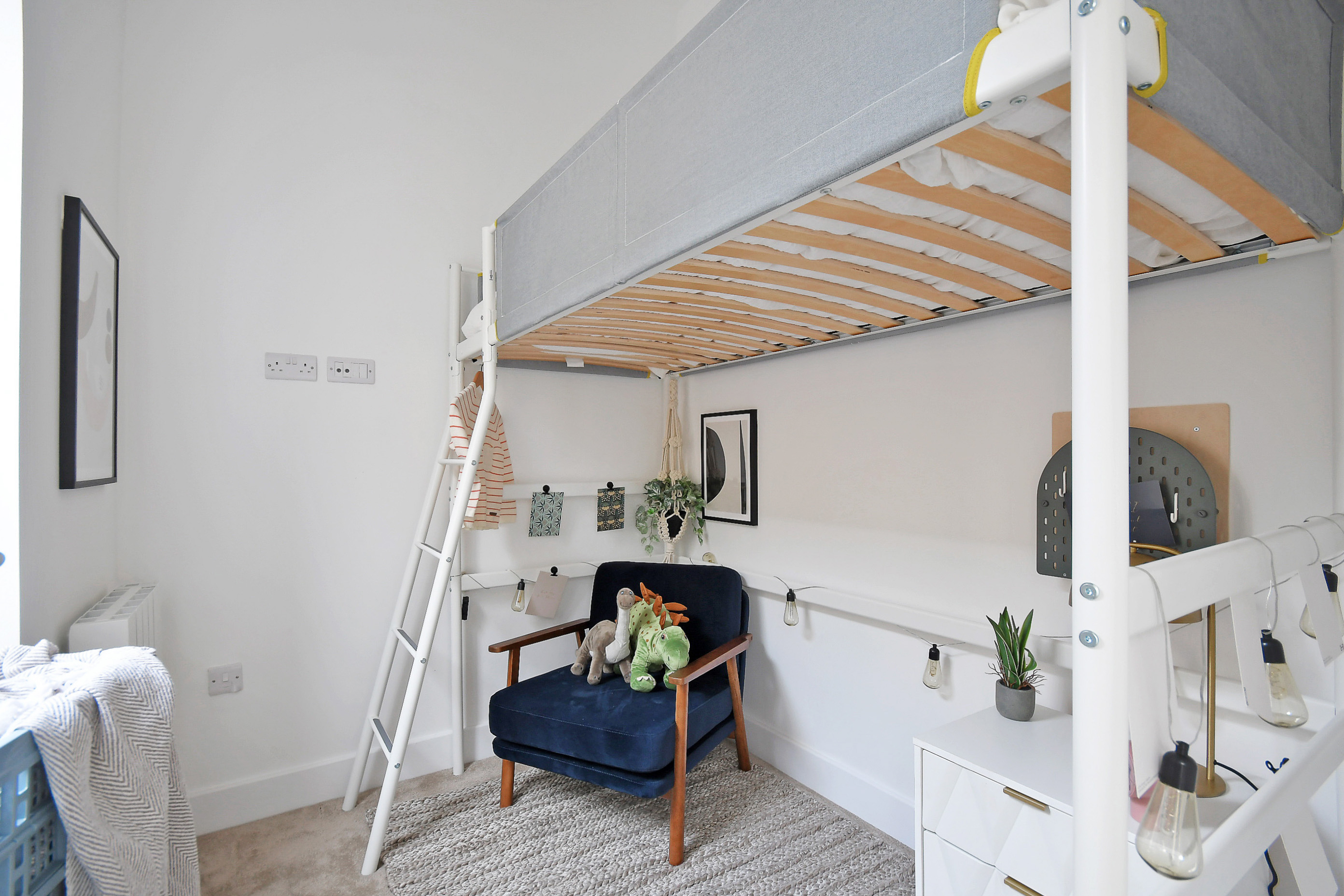 Sadie - Olive Lane, Waverley S60, photo 3