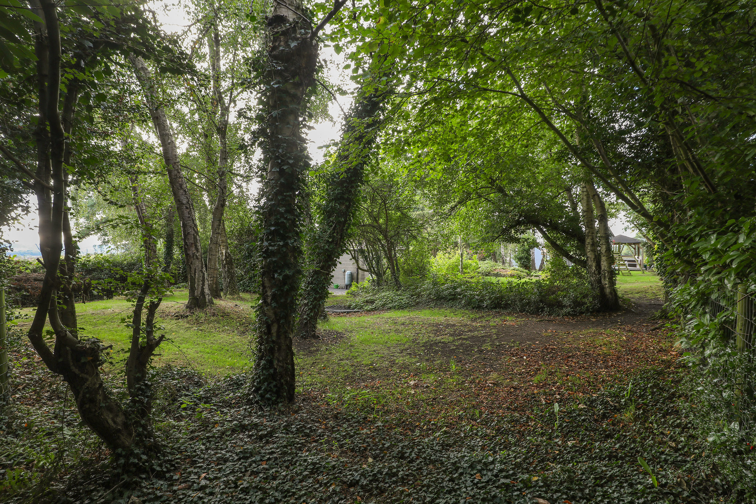 Sunnybank Cottage, Main Road, Marsh Lane, S21, photo 64