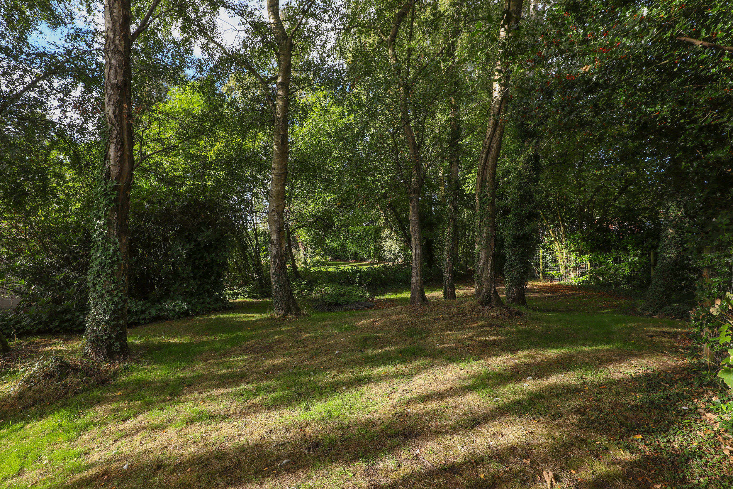 Sunnybank Cottage, Main Road, Marsh Lane, S21, photo 66