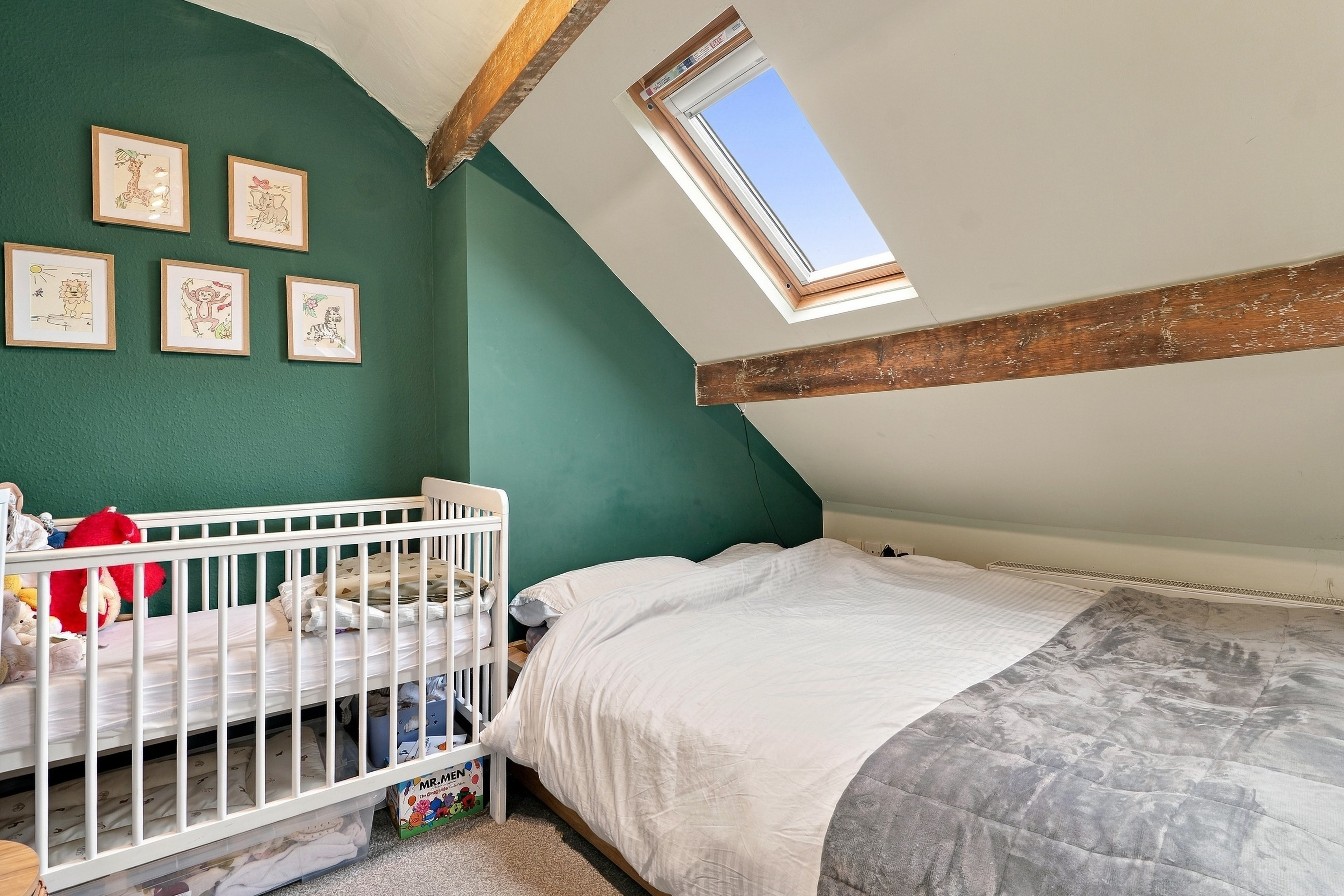 Warwick Terrace, Sheffield, S10, photo 13