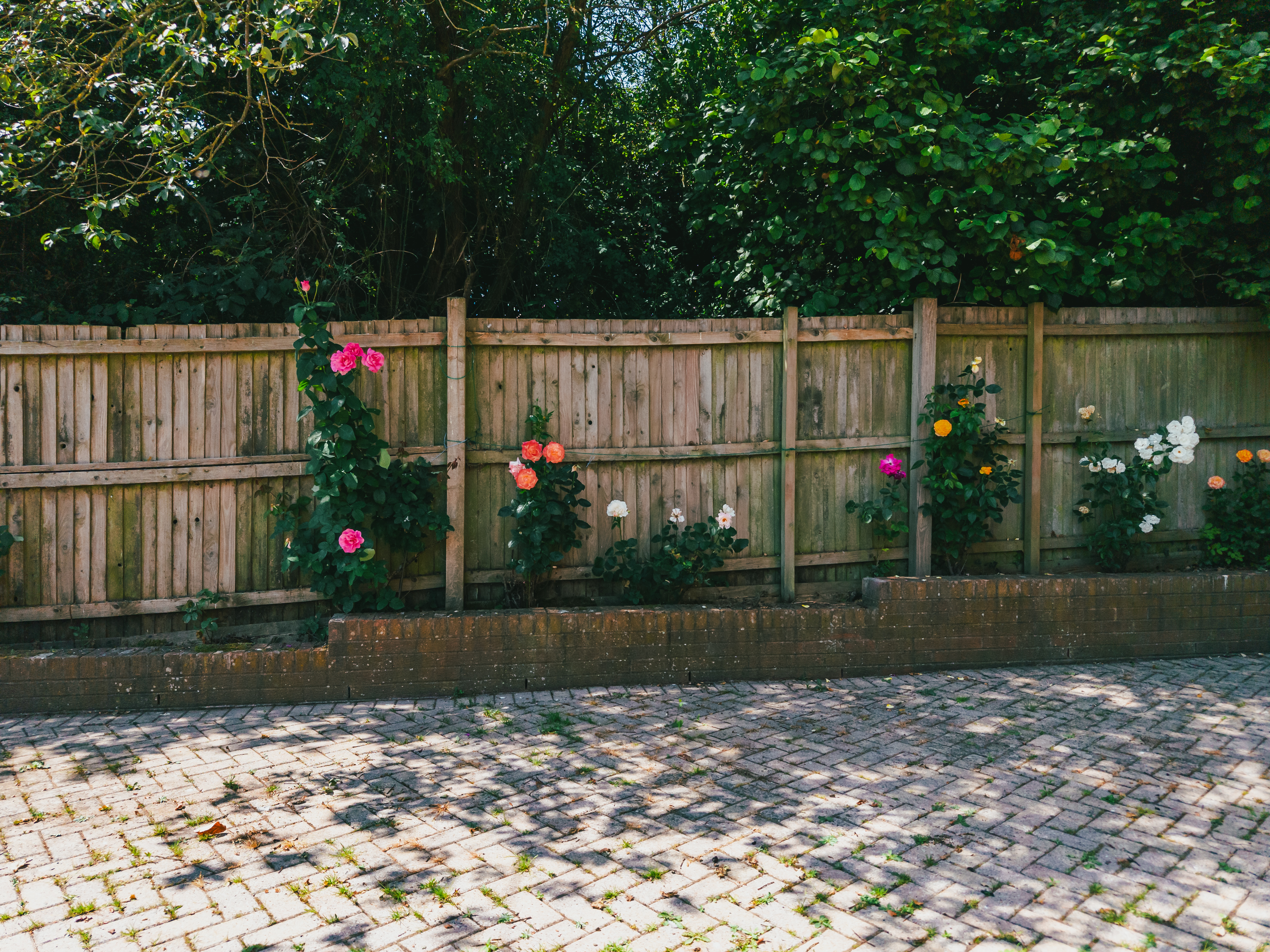 Rose Hill Mews, Mosborough, S20, photo 9
