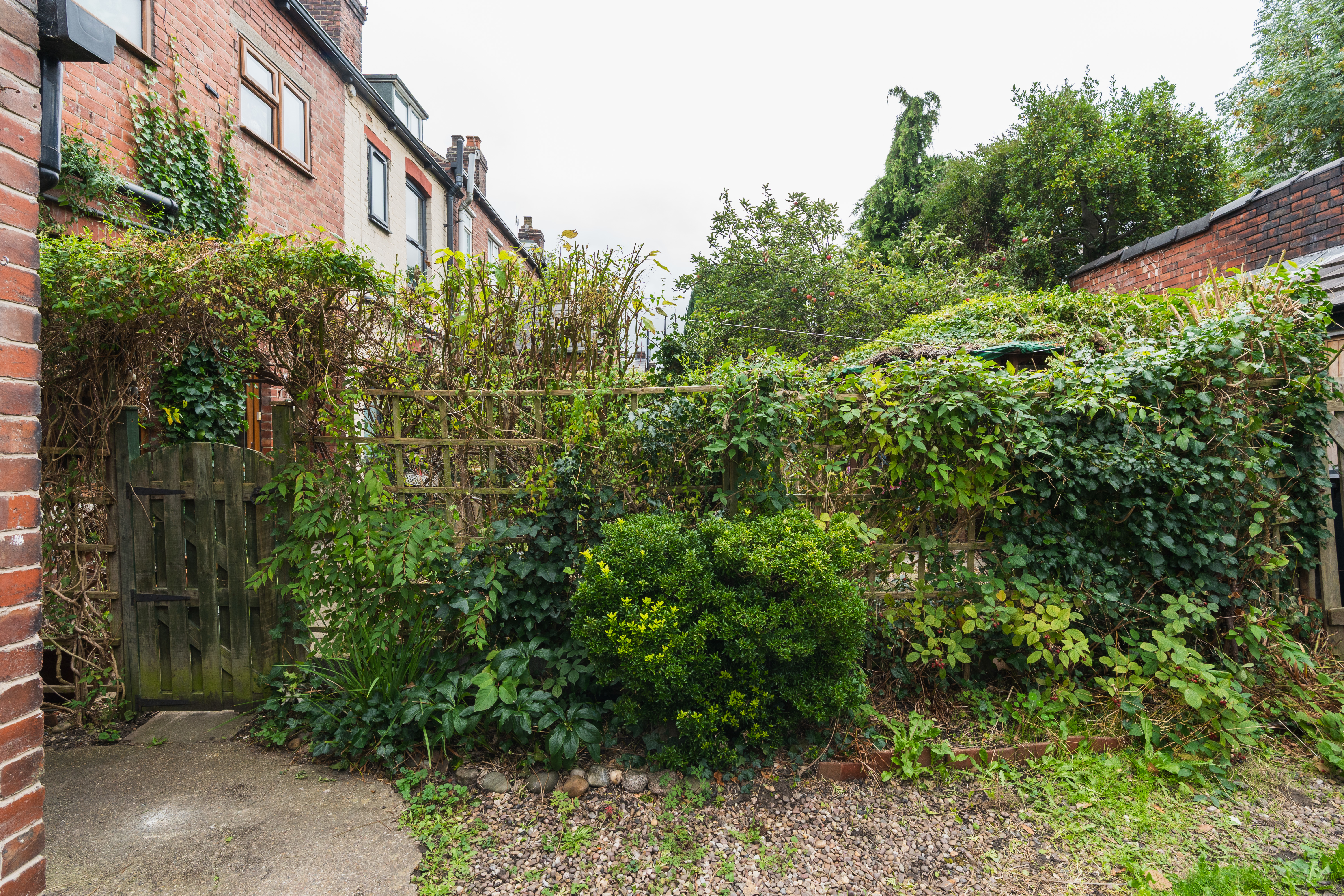 Blair Athol Road, Sheffield, S11, photo 26