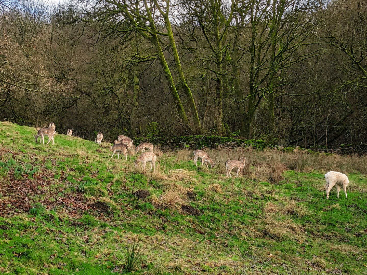 Marley, Bingley, BD16 2DN, photo 21