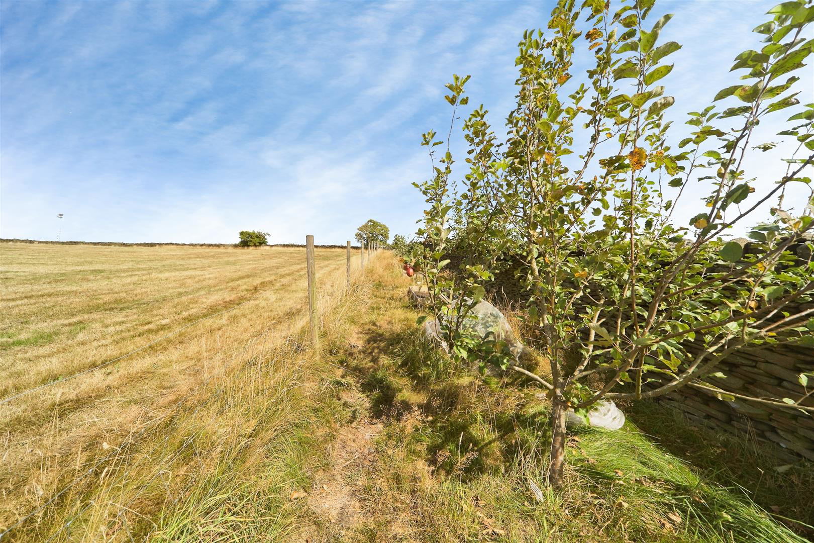 Todley Hall Road, Oakworth, Keighley, BD22 0QB, photo 21