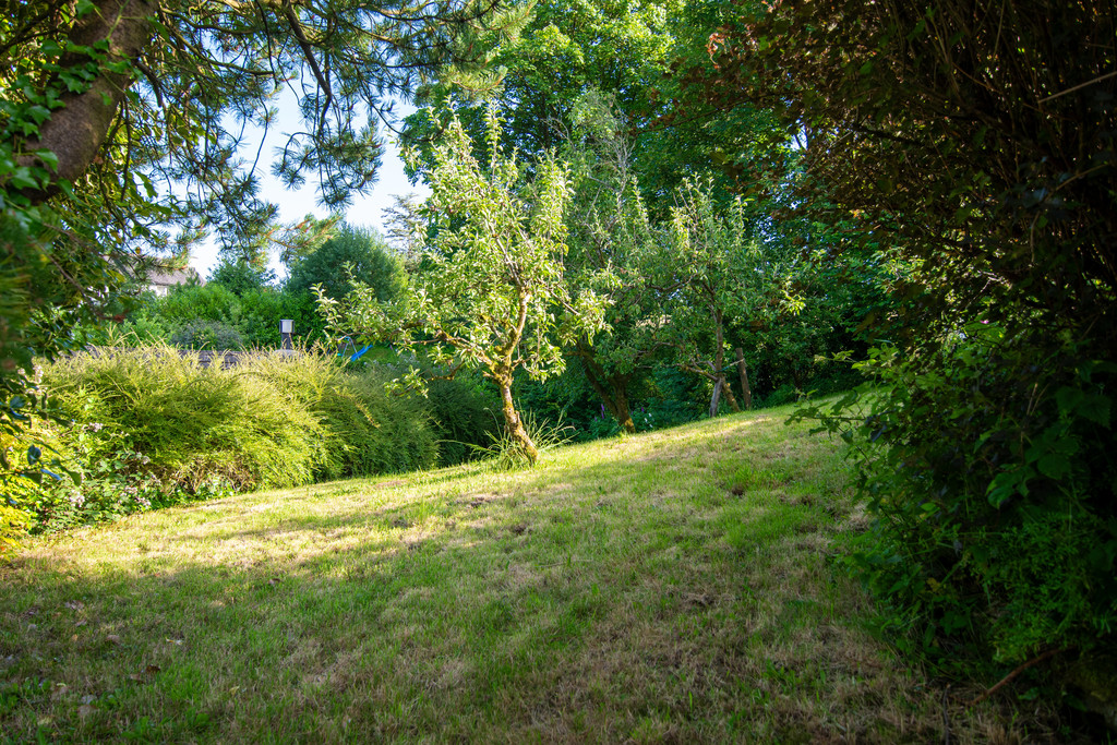 Orchard
