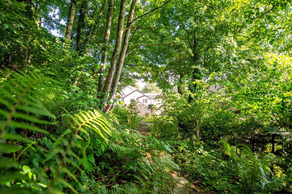 Appletree Cottage, Underskiddaw, Keswick, Cumbria, CA12 4PY, photo 45