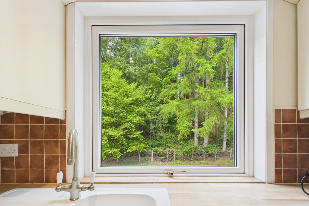 View from Kitchen