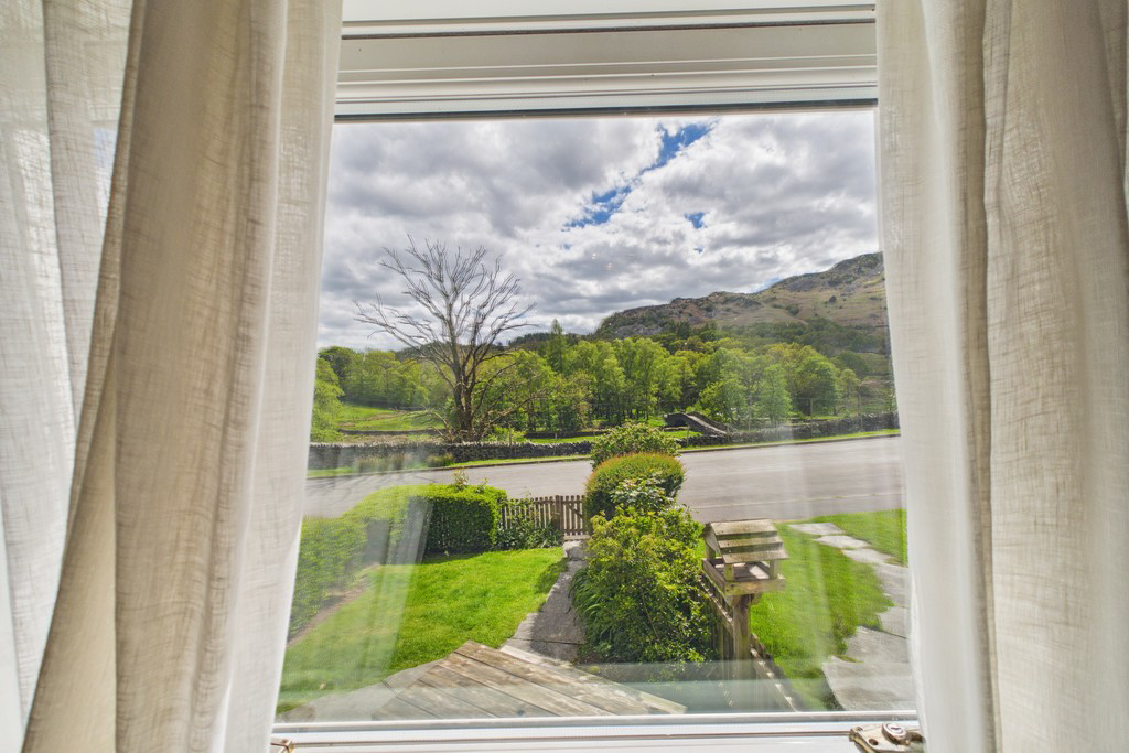 View from Living Room