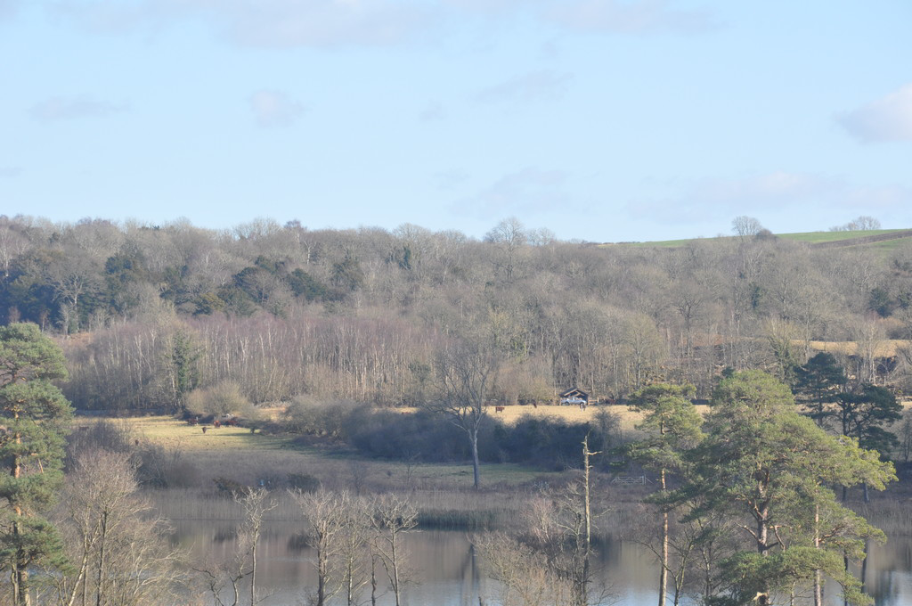 Views of Hawswater 