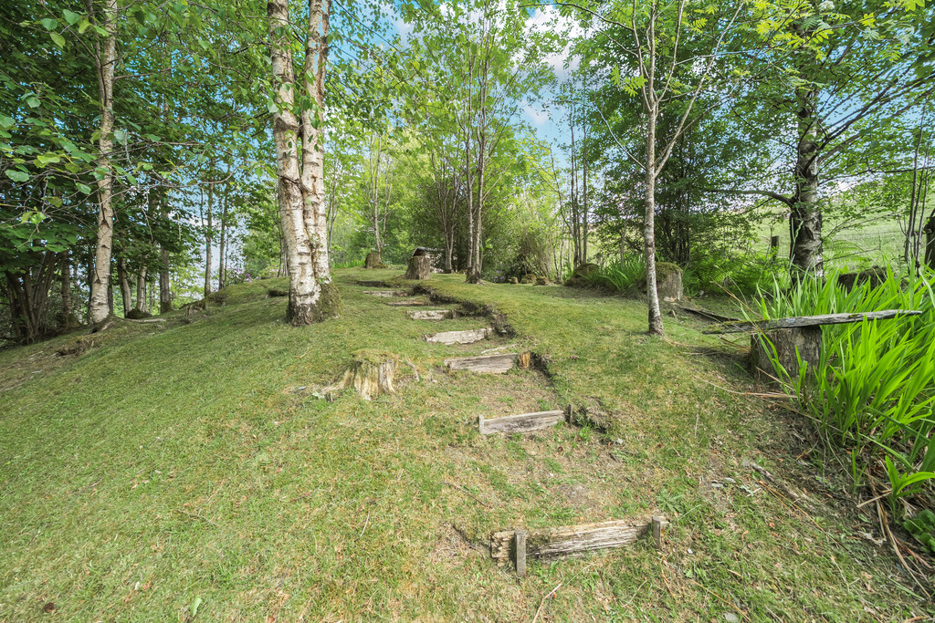 Photo 23