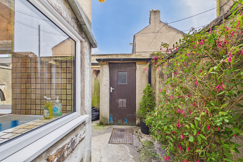 Rear Yard