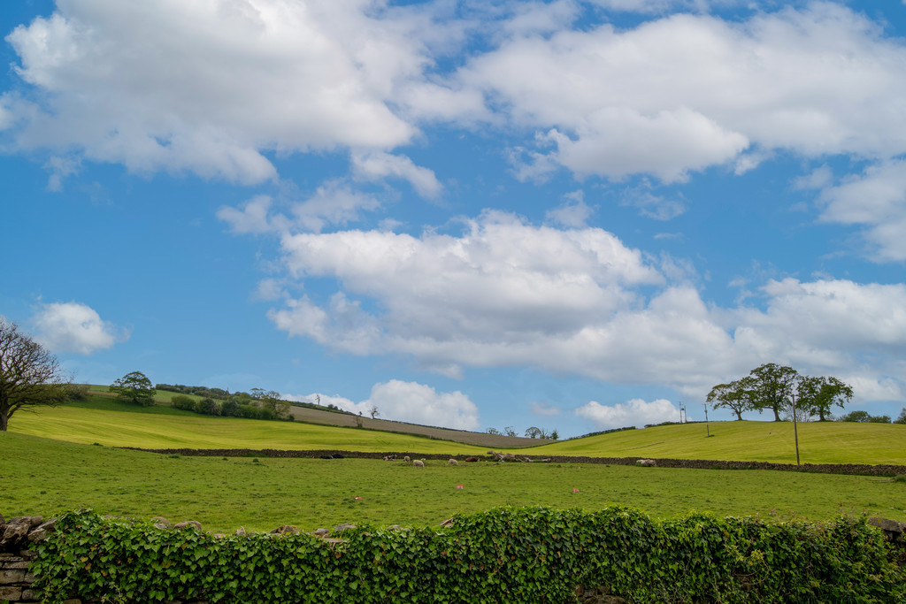 Beckside House, Old Hutton, Kendal, Cumbria, LA8 0NF, photo 17