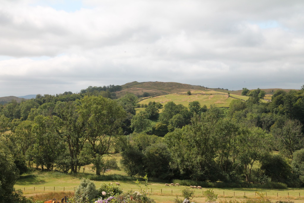 Woodside, High Borrans, Windermere, LA23 1JS, photo 36