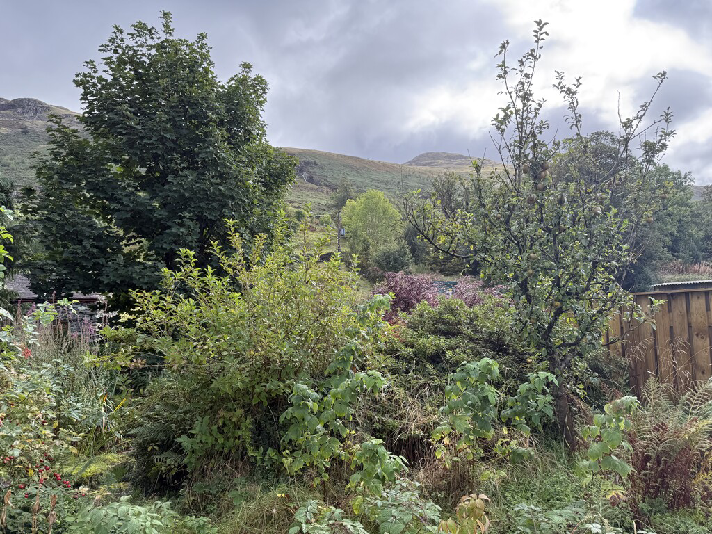 8 Fisher Place, Thirlmere, Keswick, Cumbria, CA12 4TW, photo 27