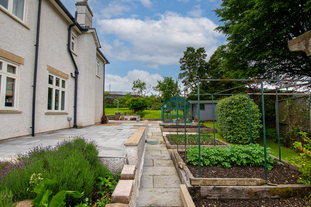 Rear Garden and Patio Area