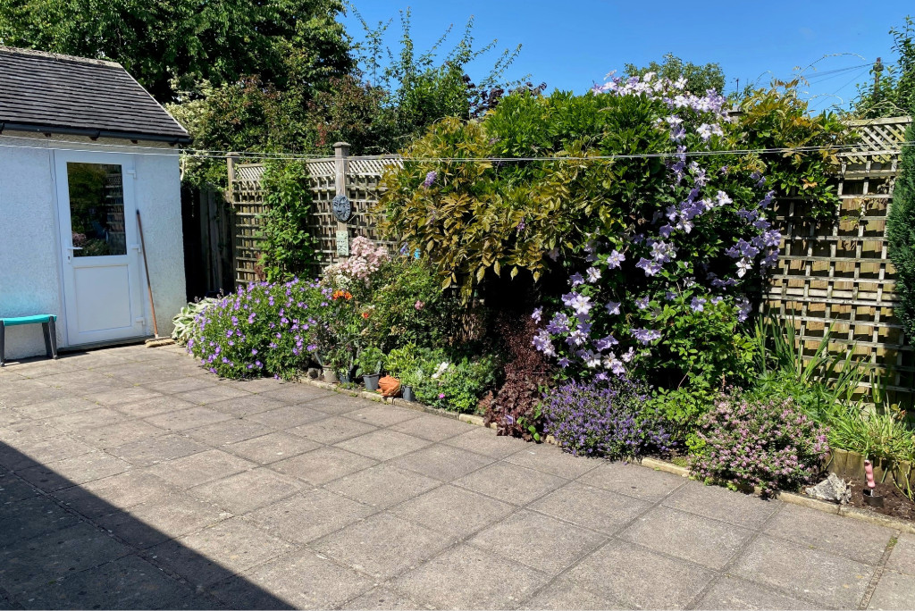 Photo 18