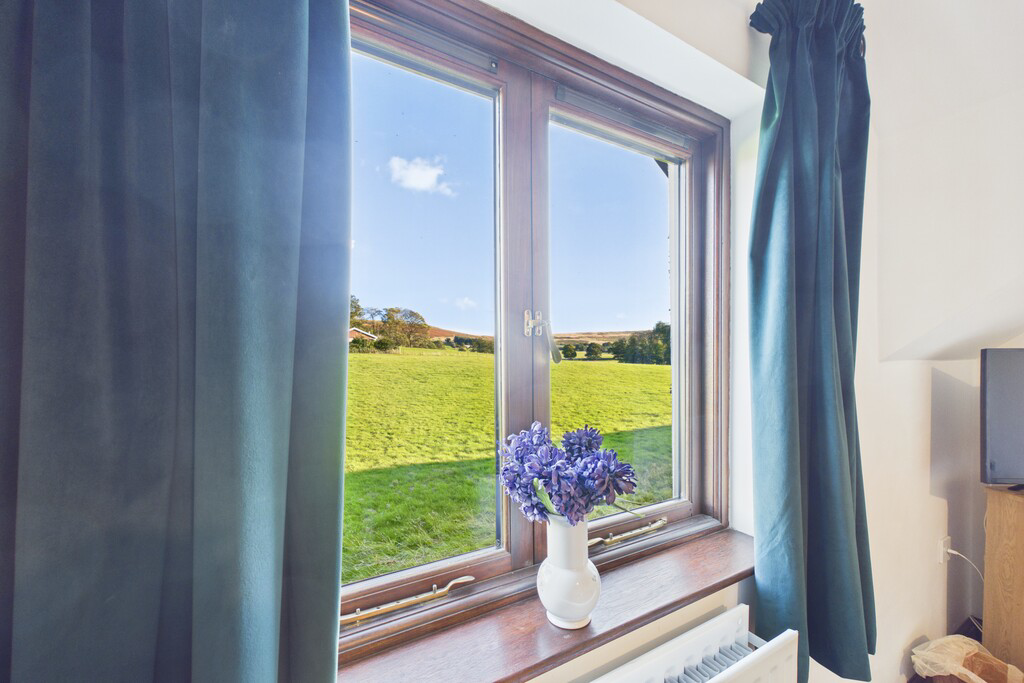 Bedroom View