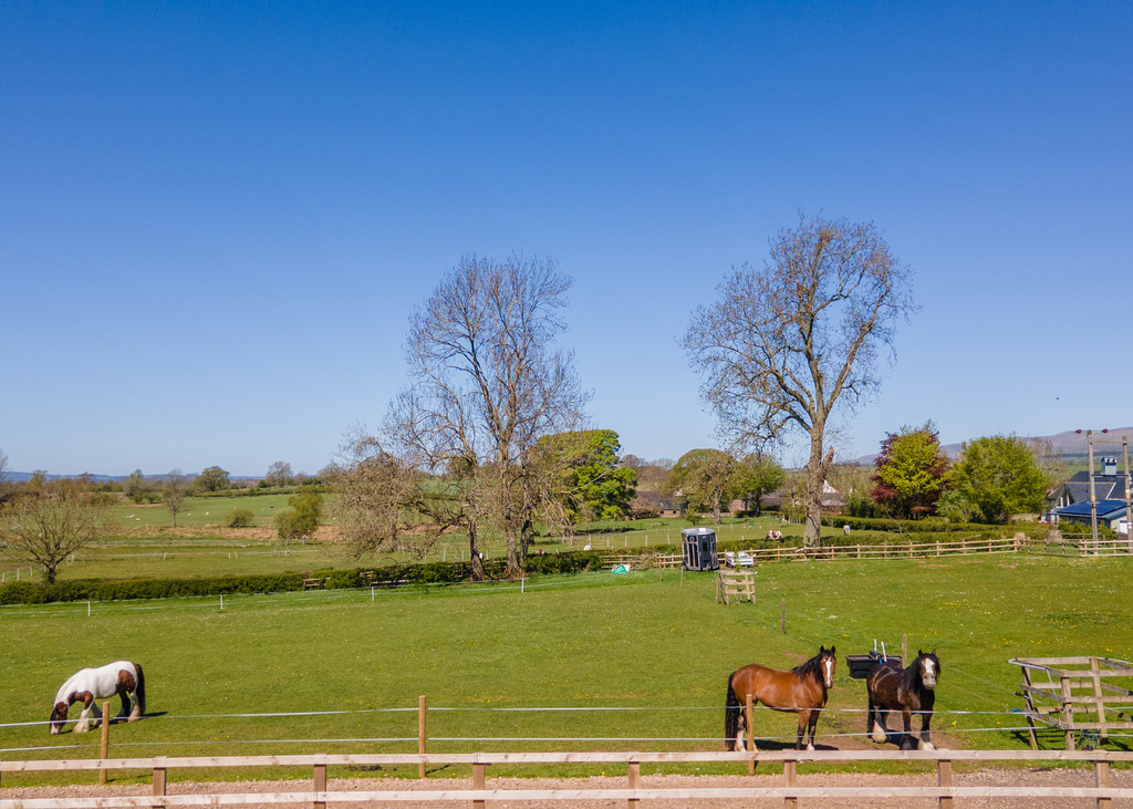 Ivy House, Brampton, Appleby-in-Westmorland, photo 22