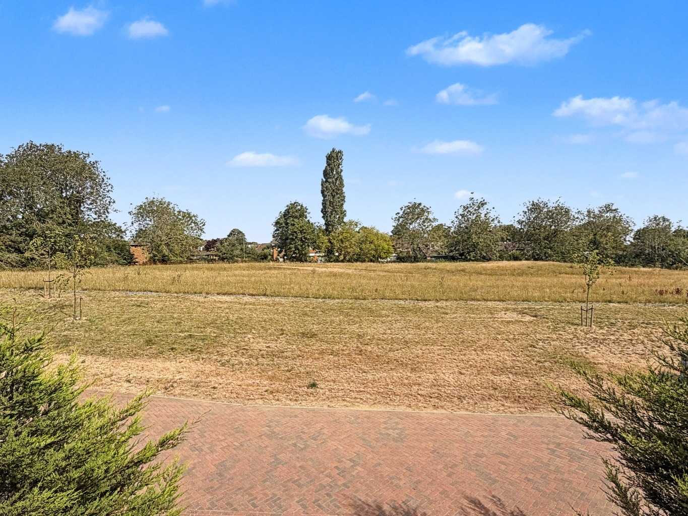 51 Buttercup Drive, Daventry, NN11 4FW, photo 5