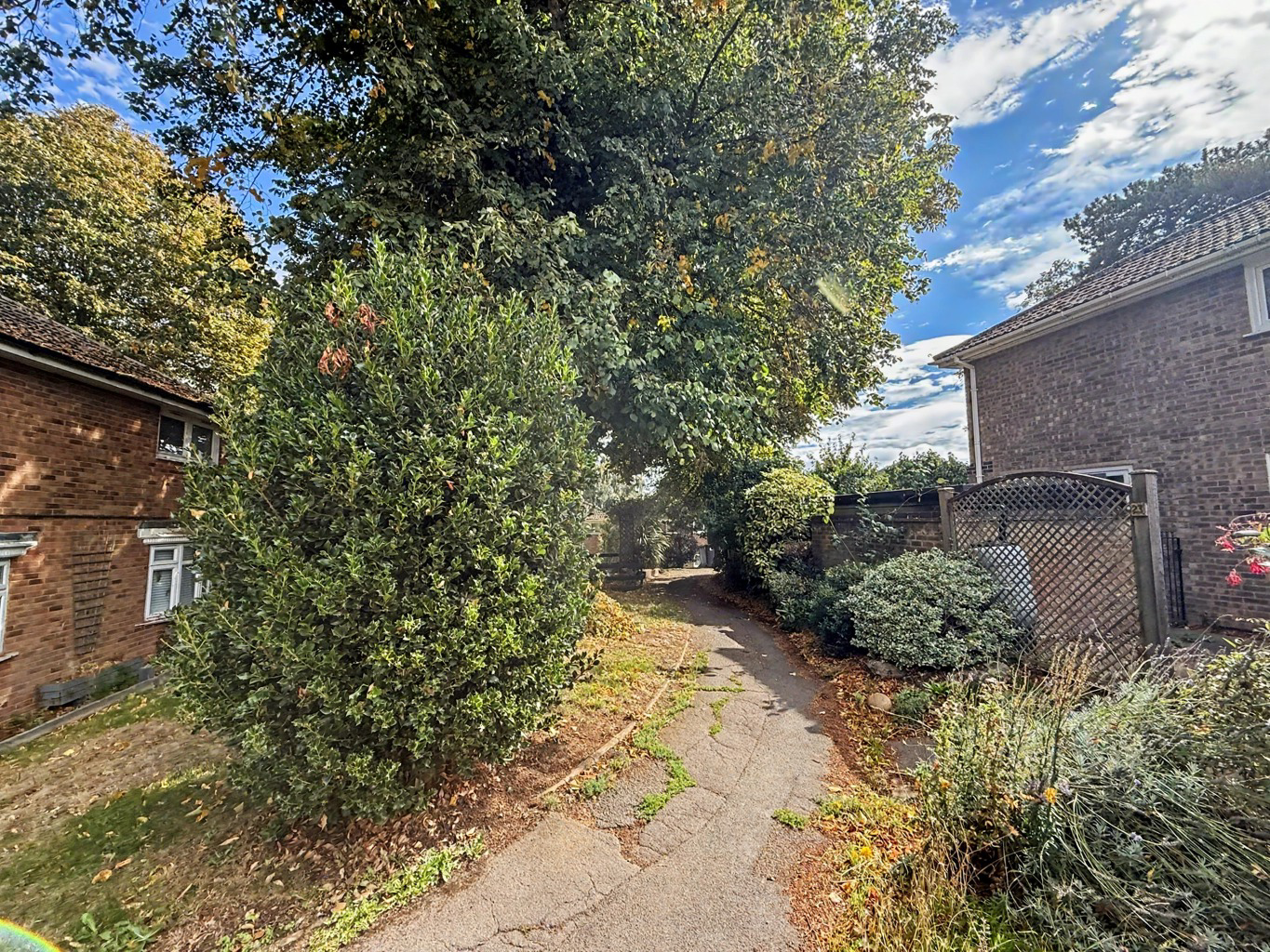 Photo 26