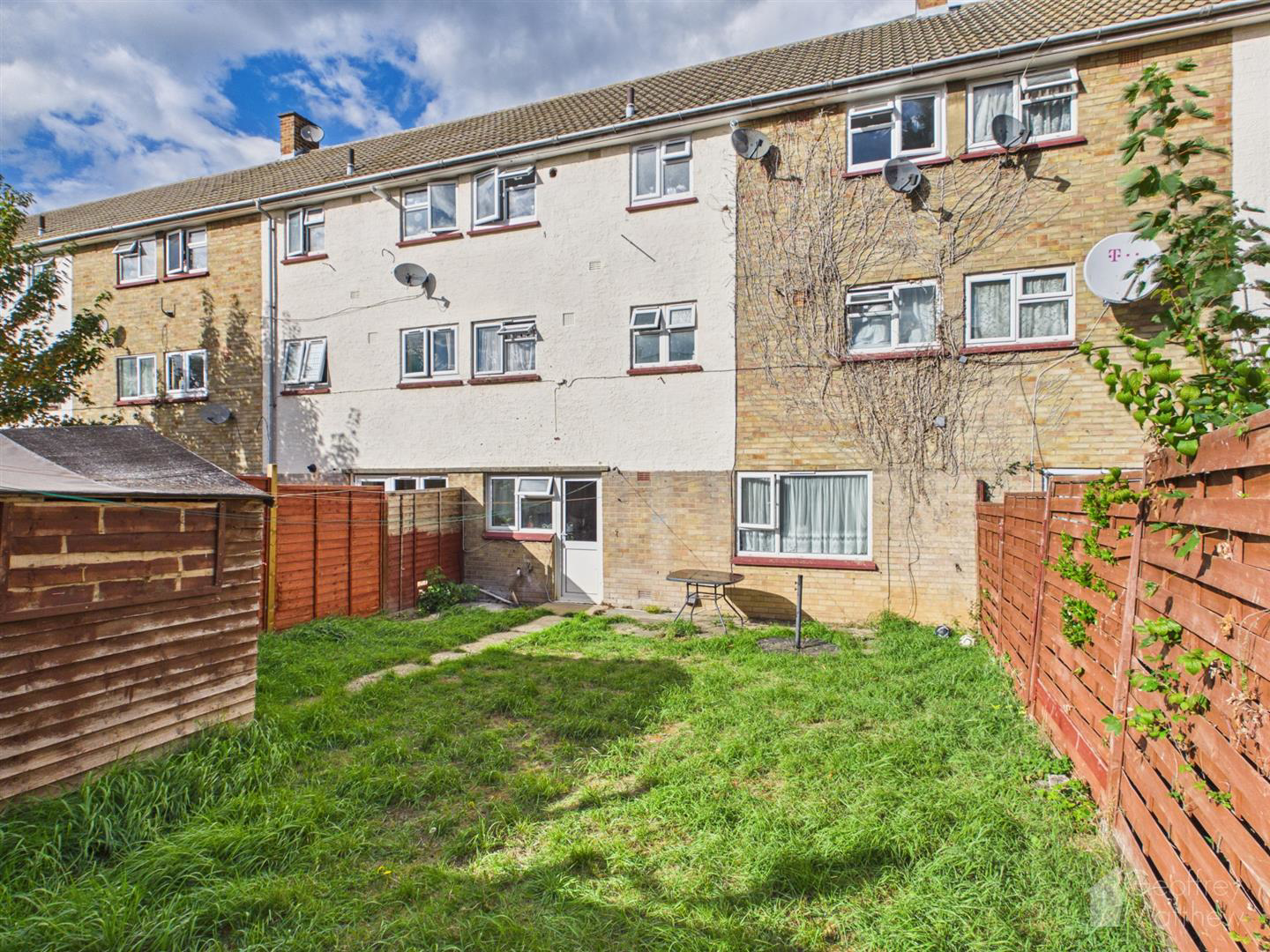 The Dashes, Harlow, photo 2