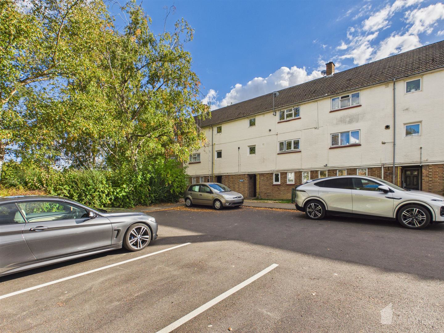 The Dashes, Harlow