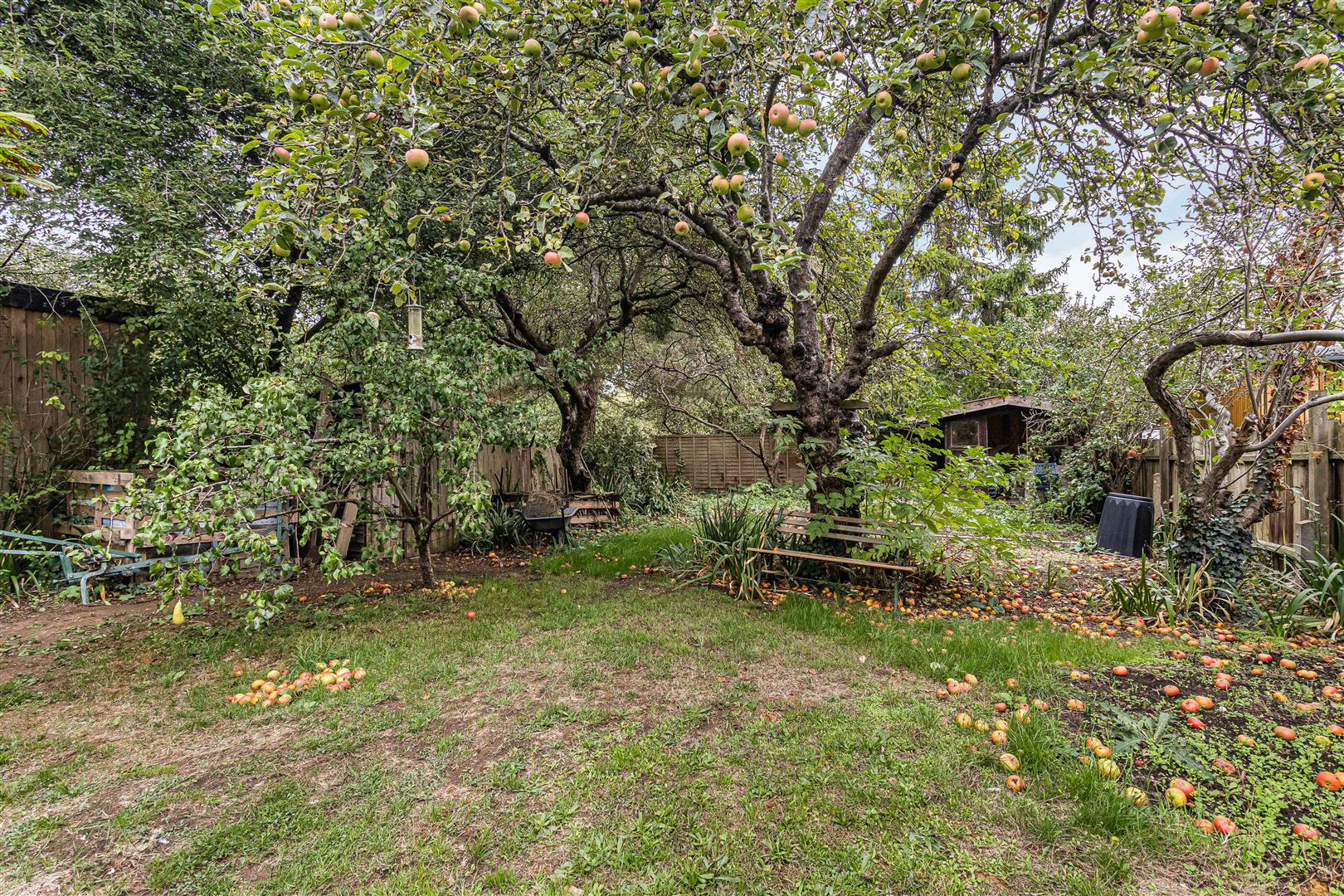 Photo 20