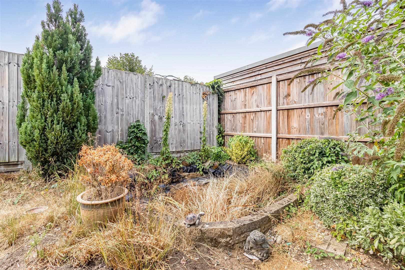 Elizabeth Avenue, Newmarket, photo 20