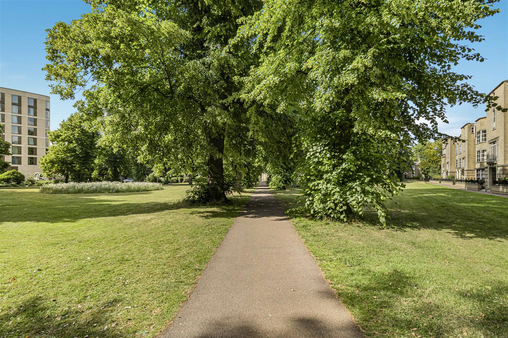 Petersfield, Cambridge, photo 12