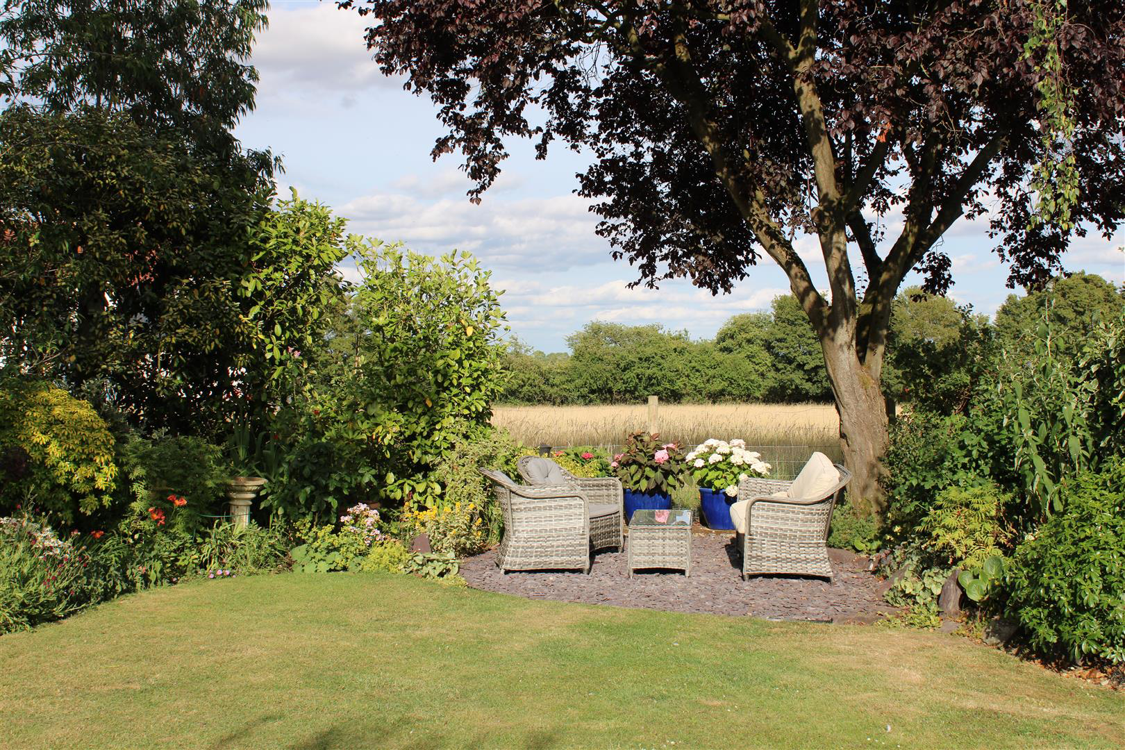 sitting area in garden.JPG