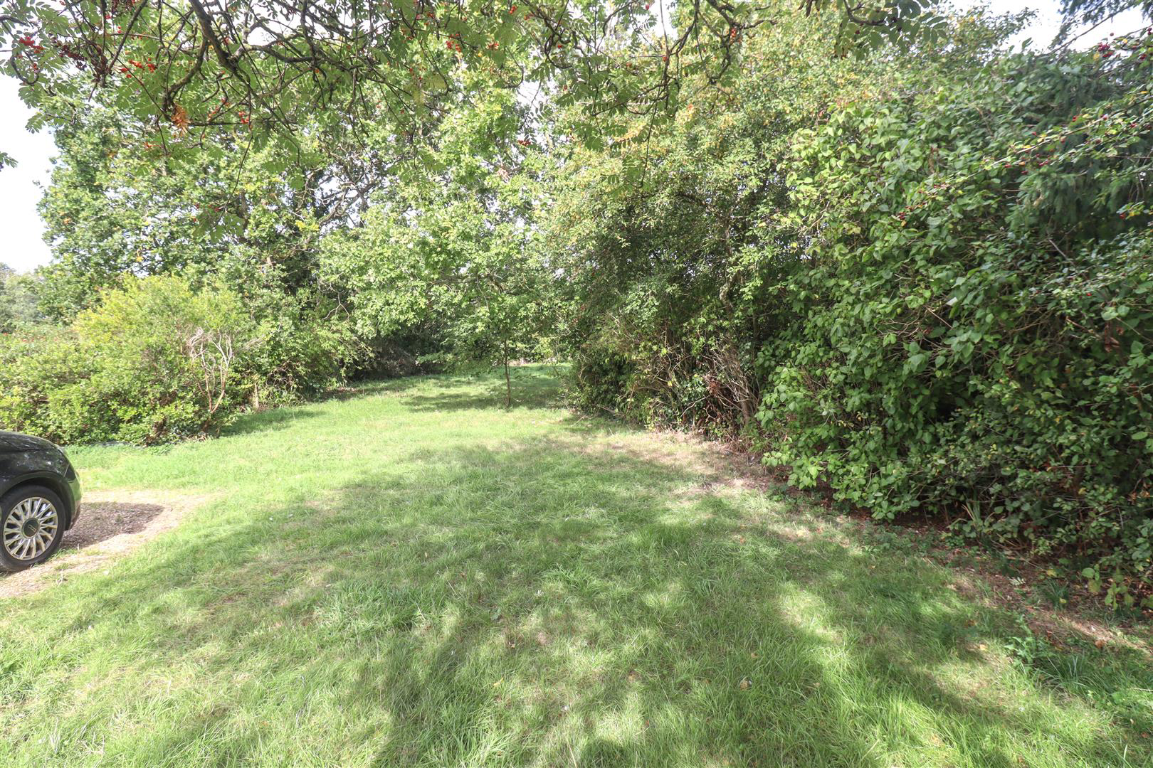 Middle Green, Higham, Bury St. Edmunds, photo 9