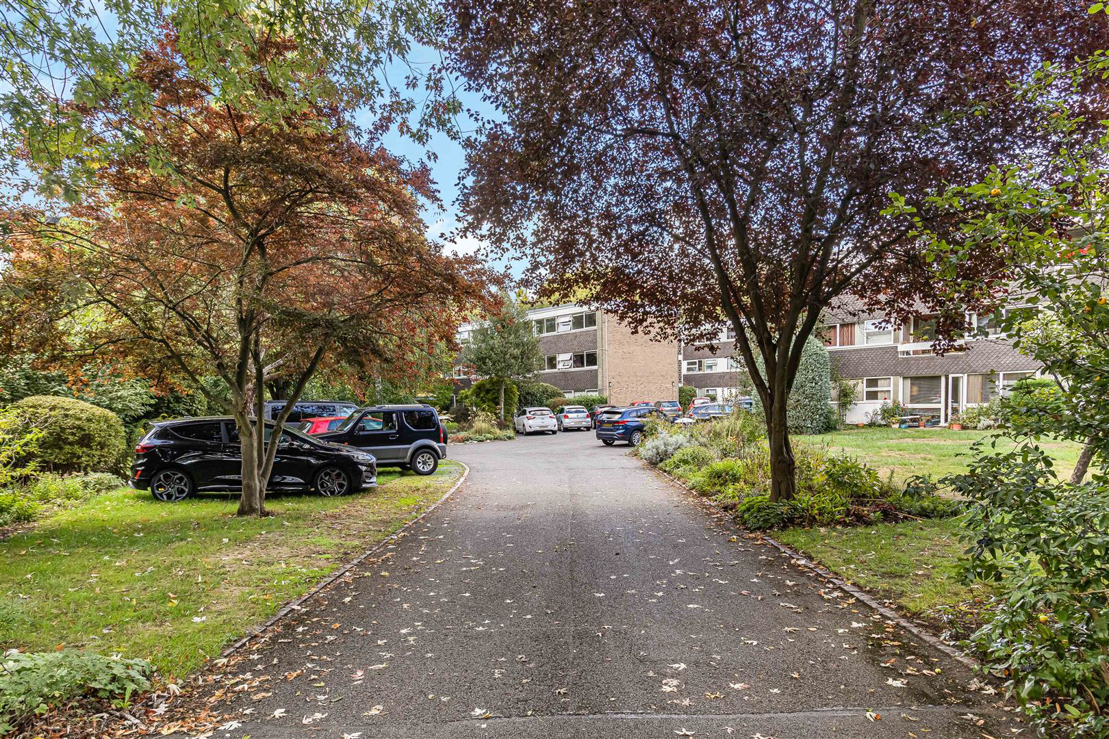 Newton Road, Cambridge, photo 22