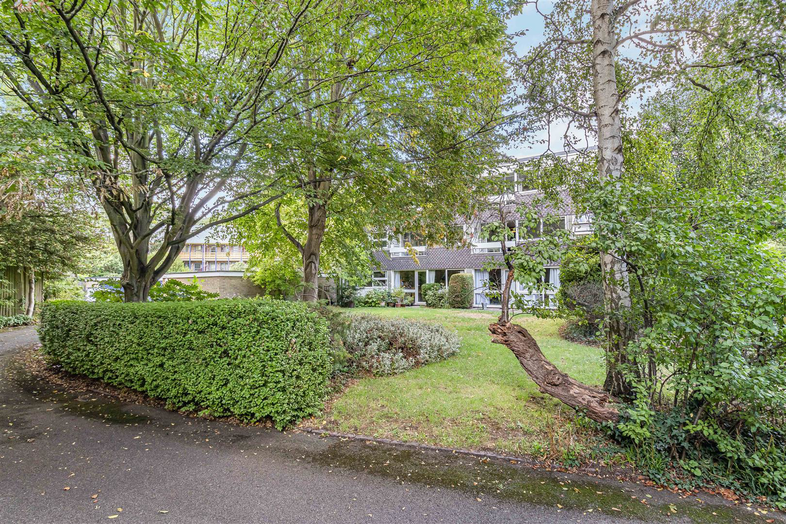 Newton Road, Cambridge, photo 5