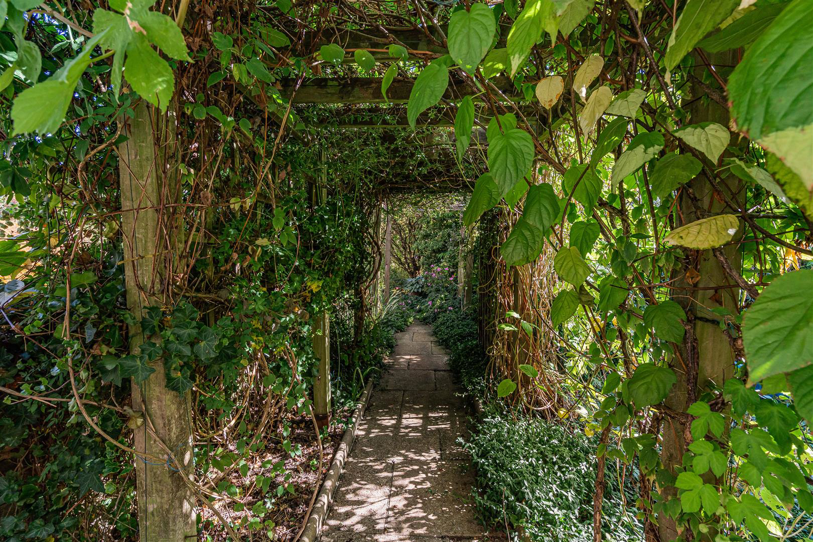 Hill Lane, Sturmer, photo 7