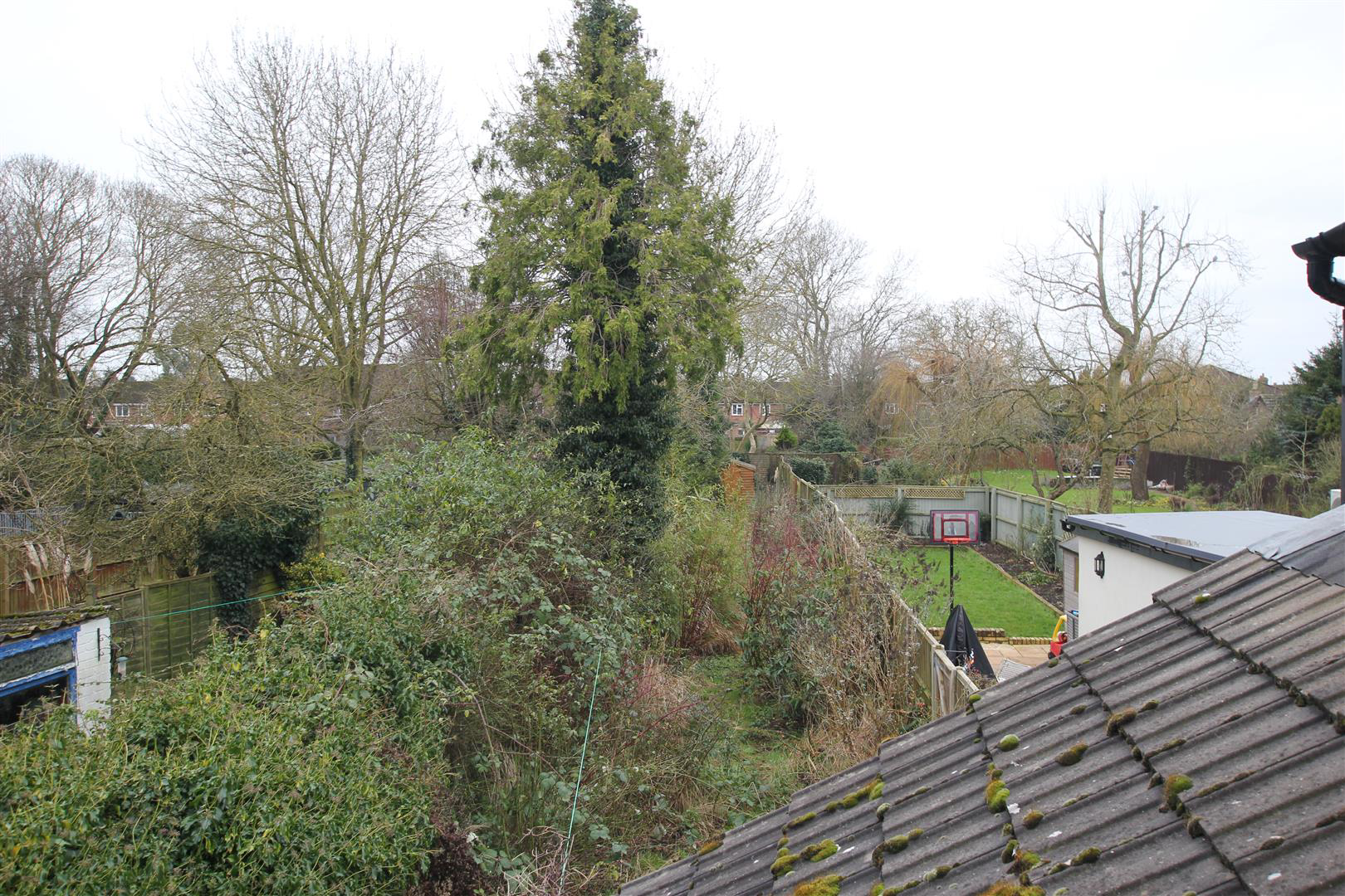 garden.JPG