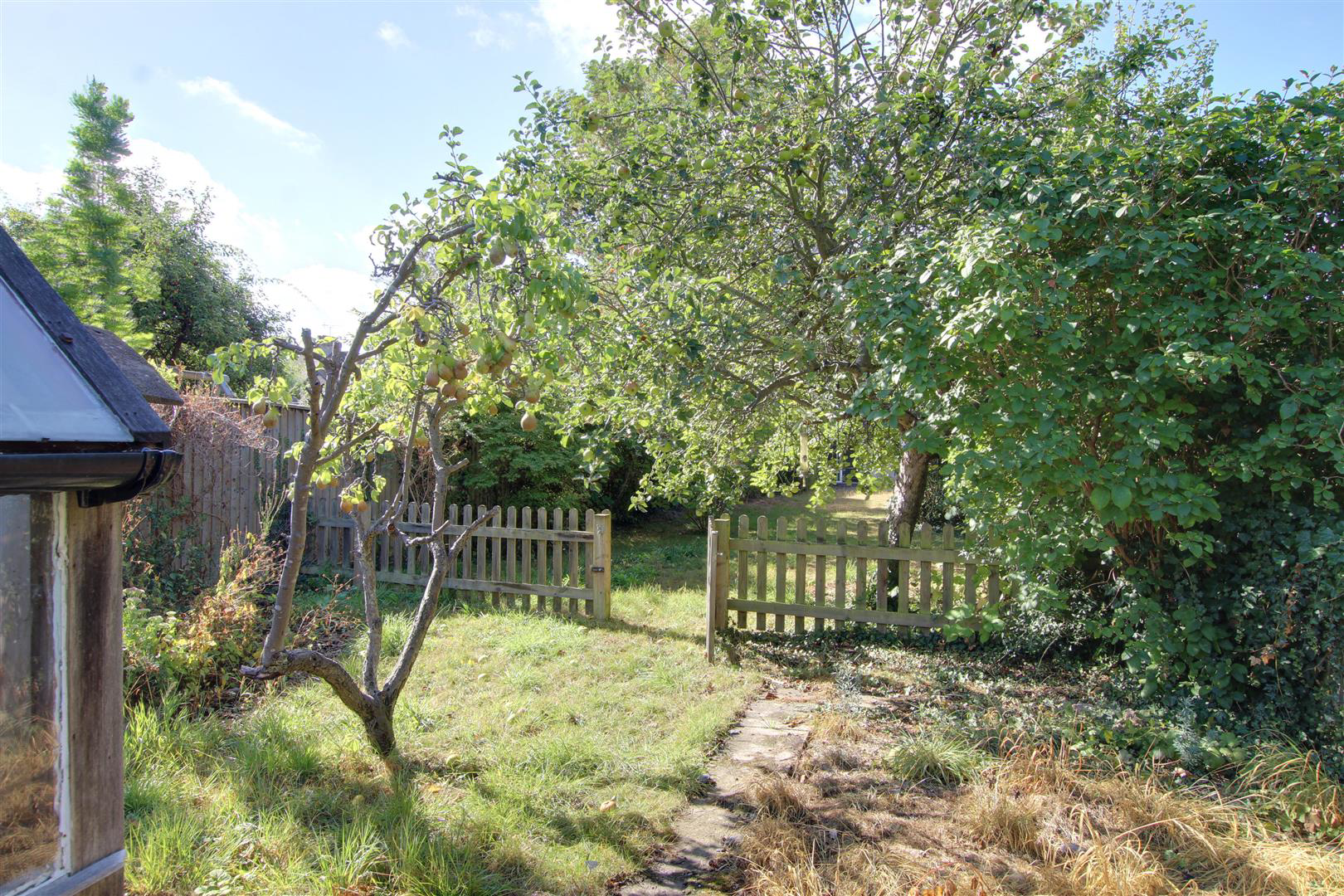 Langham Road, Cambridge, photo 18