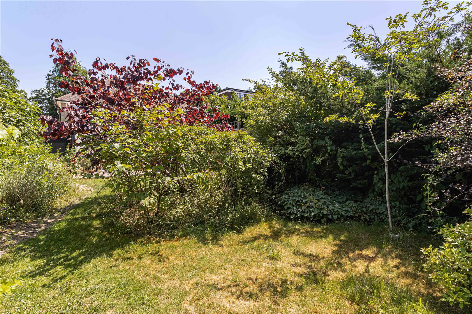 Ditton Lane, Cambridge, photo 20