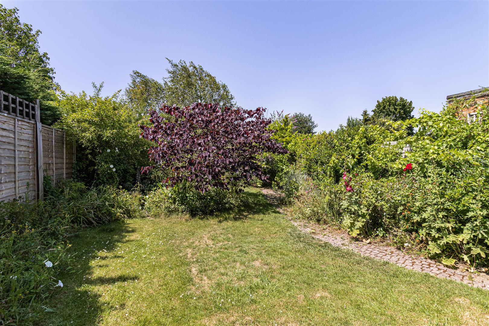 Ditton Lane, Cambridge, photo 17