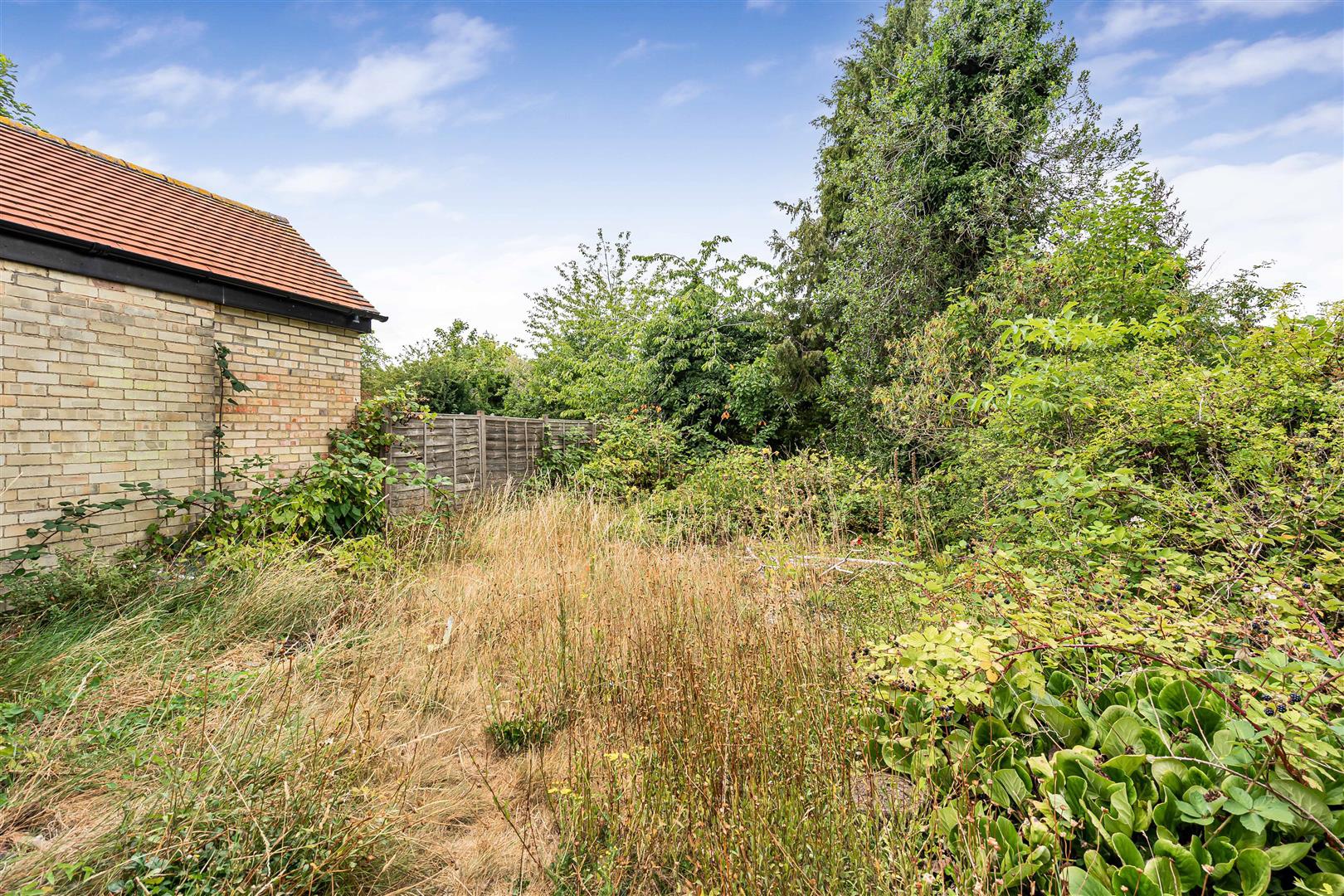 Mowbray Road, Cambridge, photo 15
