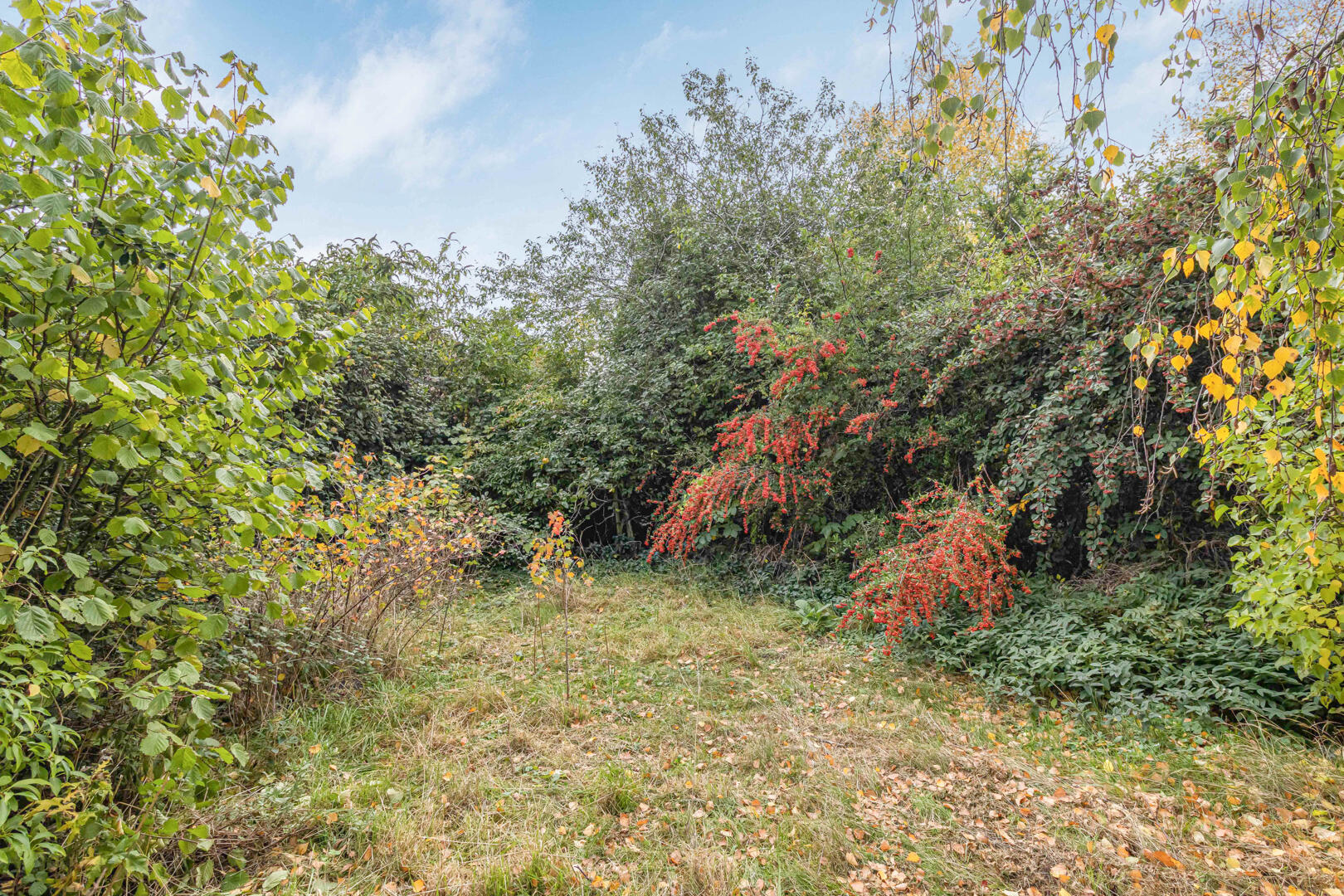Ashley Road, Newmarket, photo 23